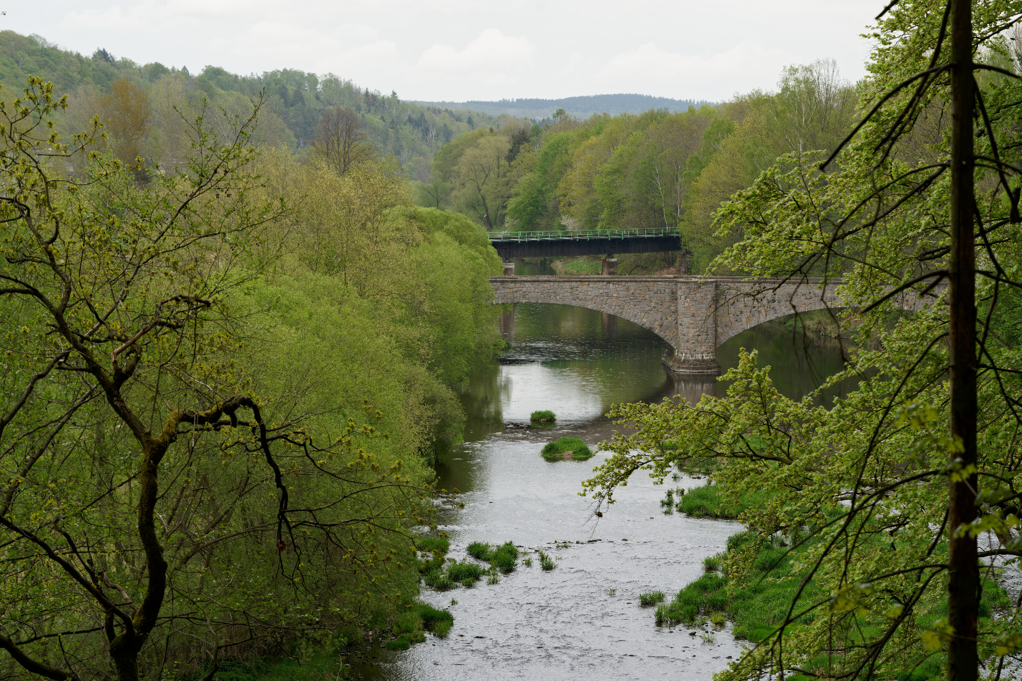 Braunsdorf, Zschopau, Wald und Wiese - April 2020