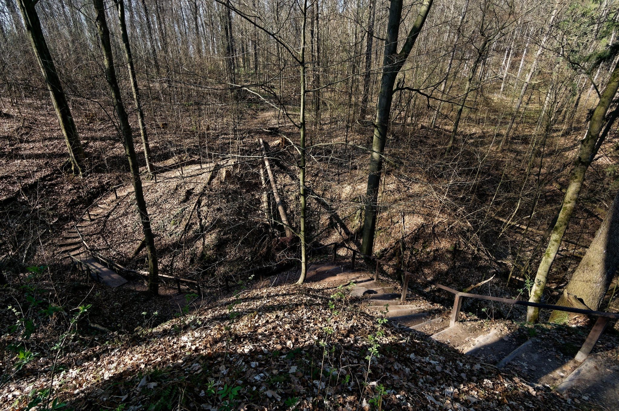 Teufelschlucht bei Braunsdorf