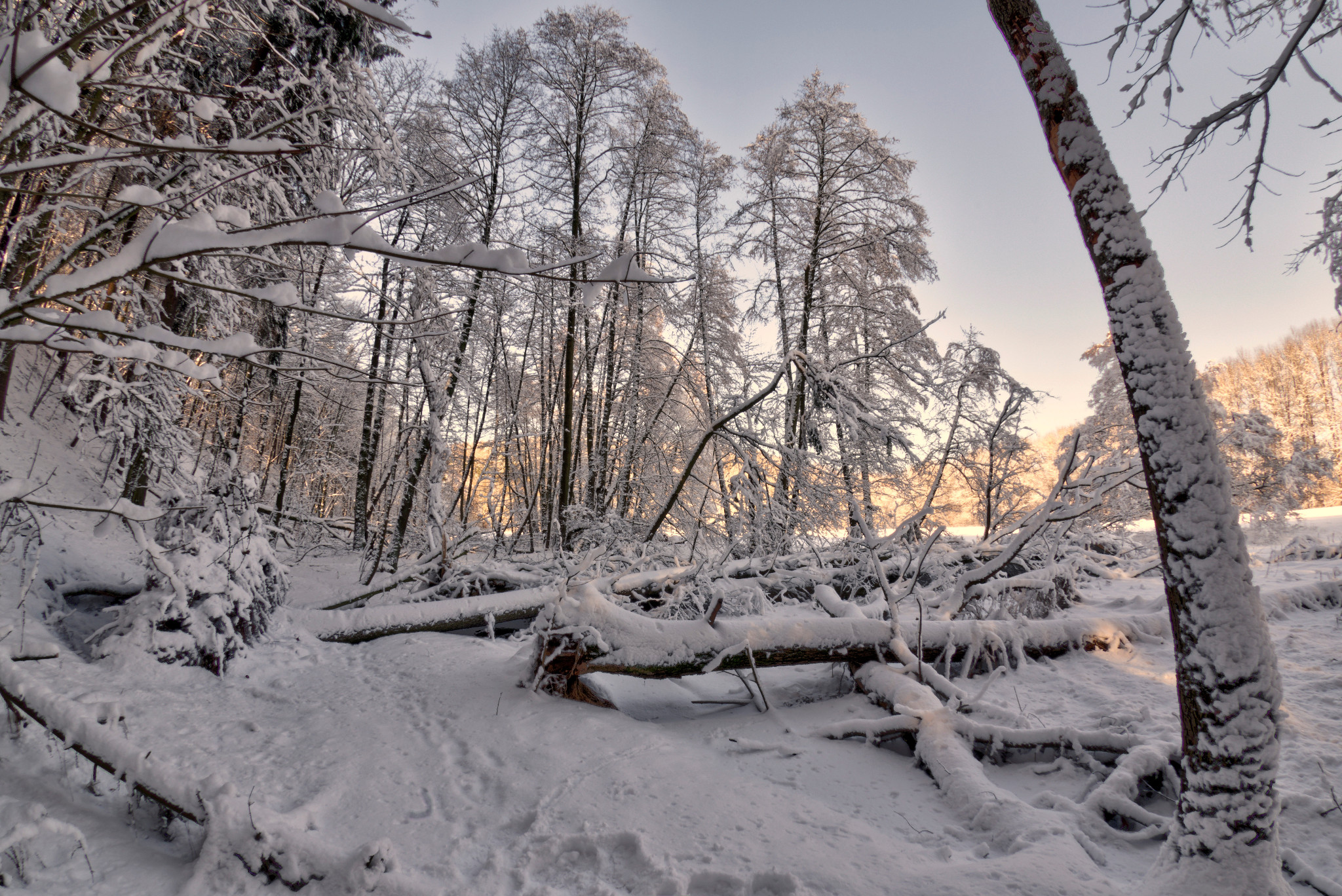 Hofwiese im Winter - Niederwiesa