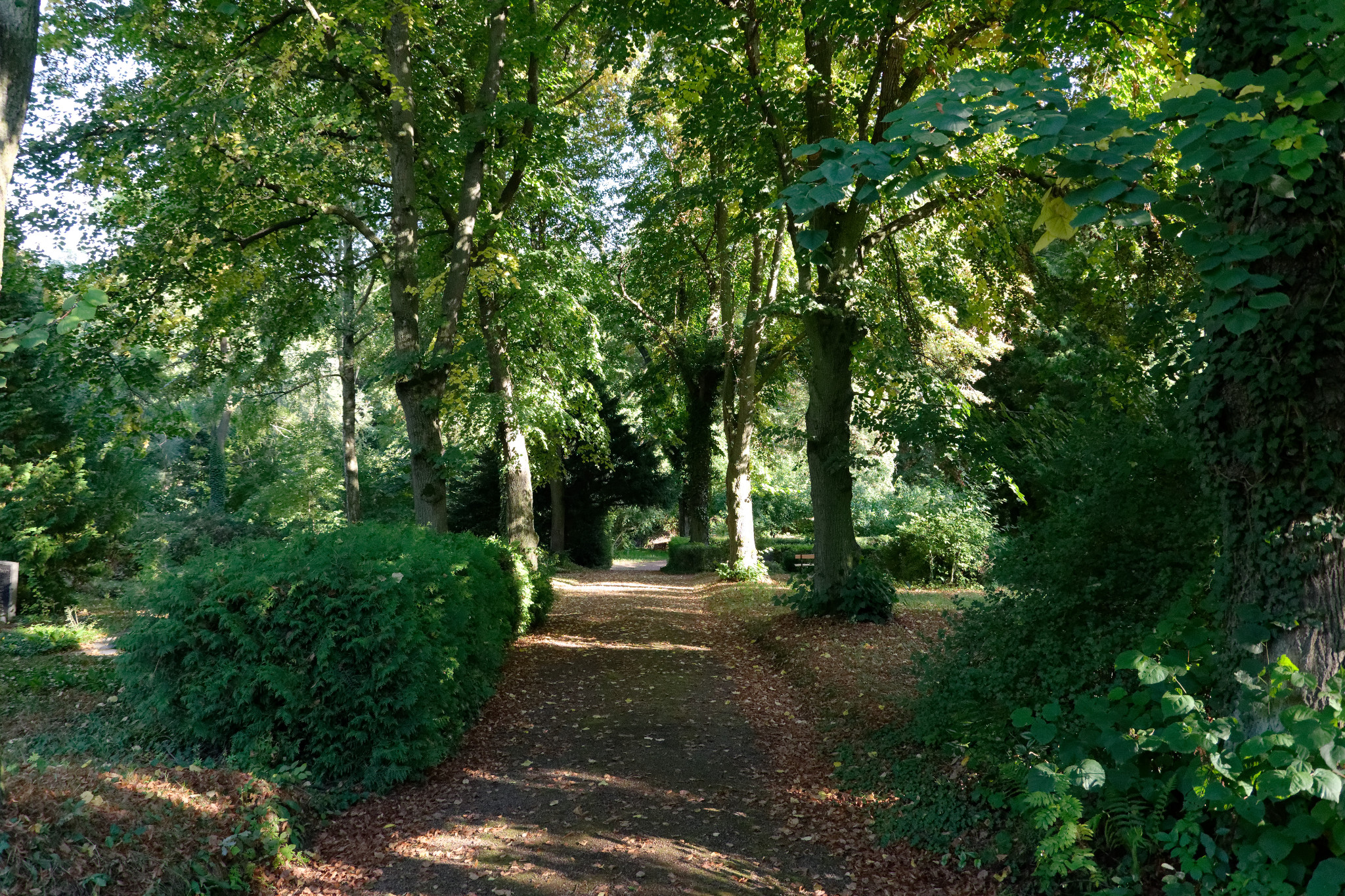 StiftsKirche Chemnitz Ebersdorf 20180909 62