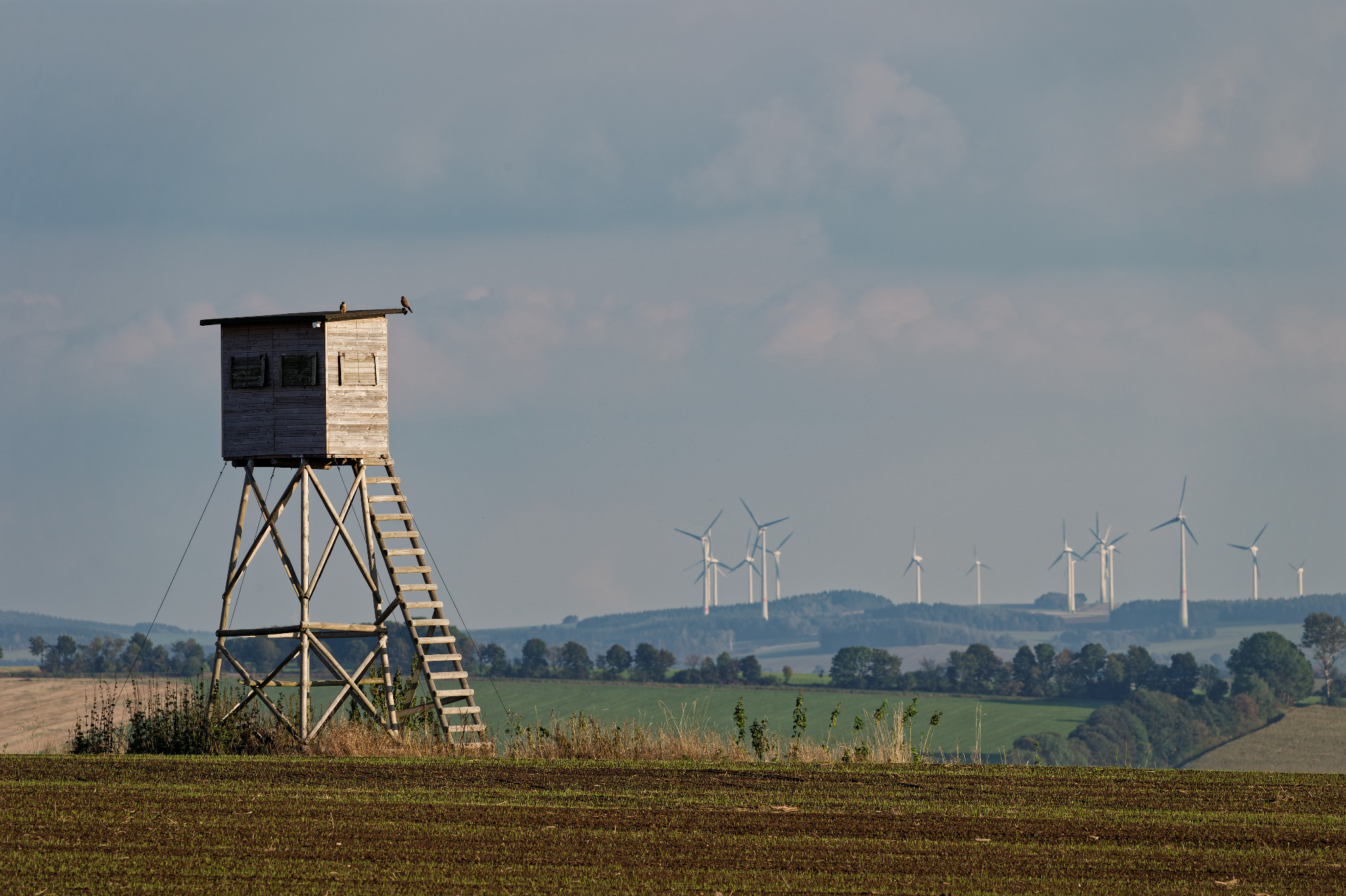 Oberreichenbacher Straße