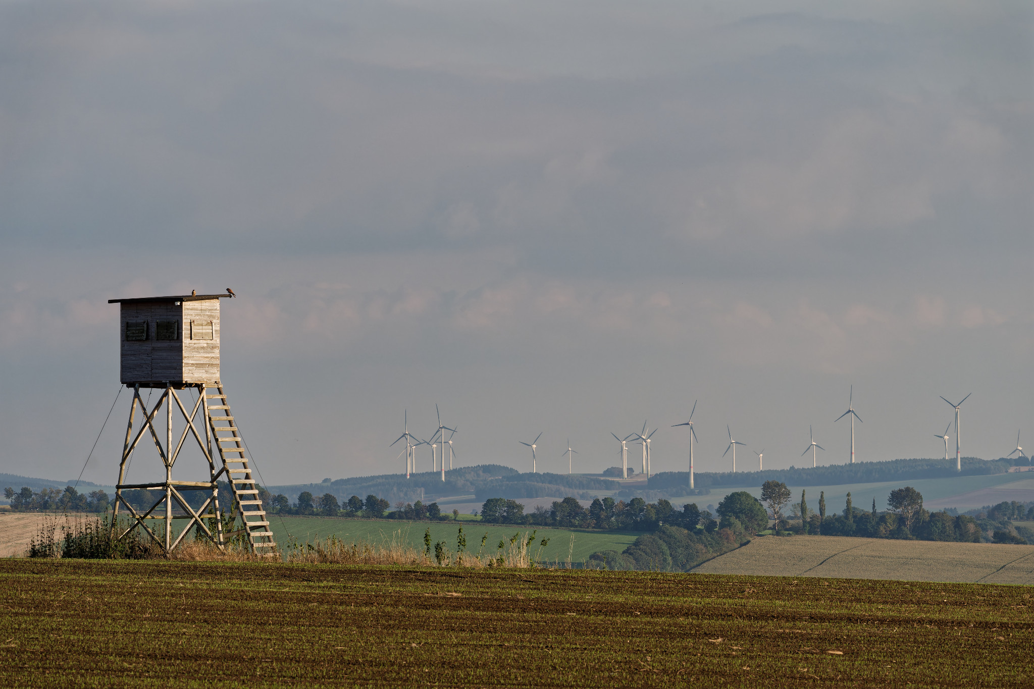 Oberreichenbacher Straße