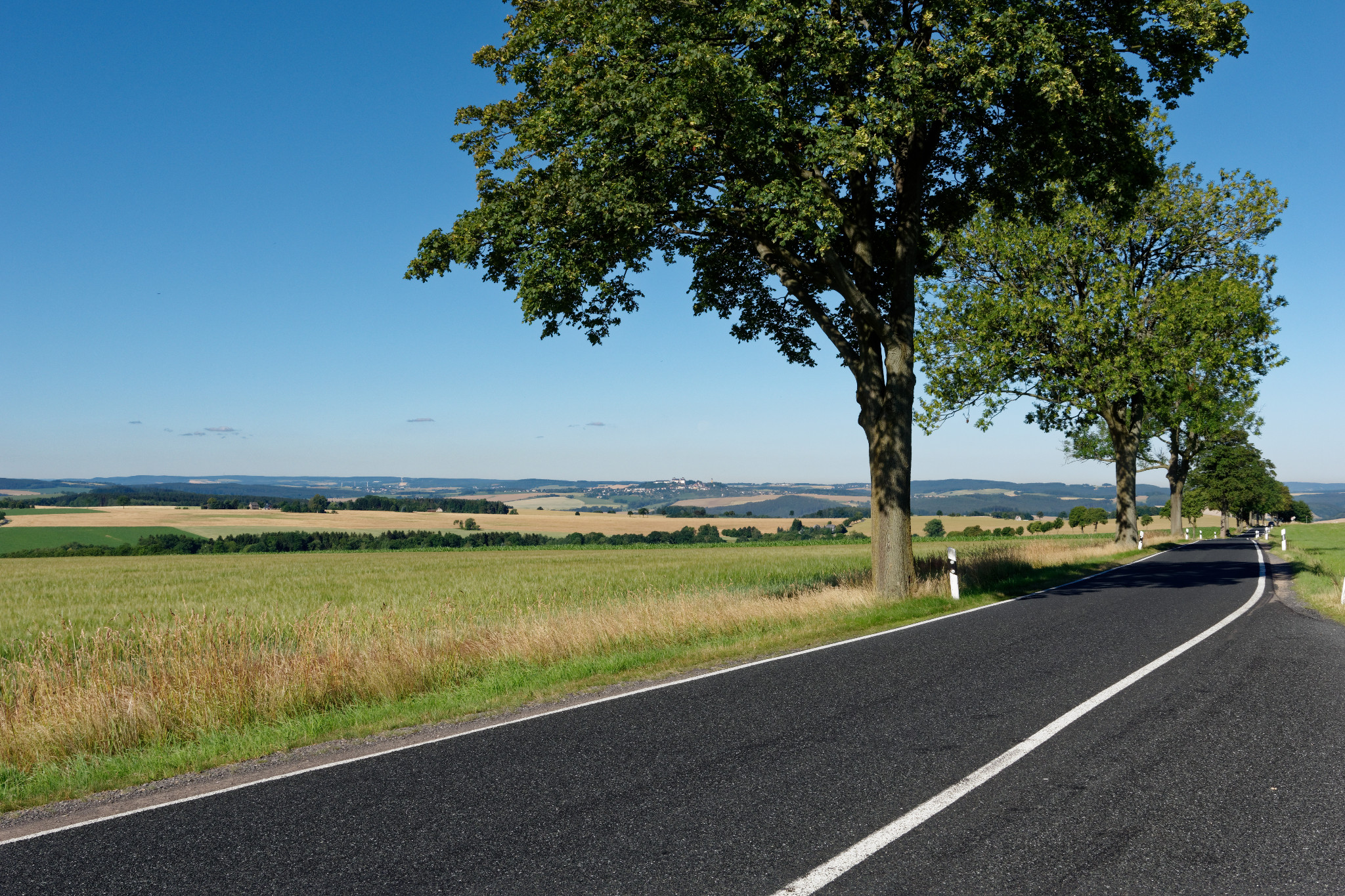 Oberreichenbacher Straße - 2018