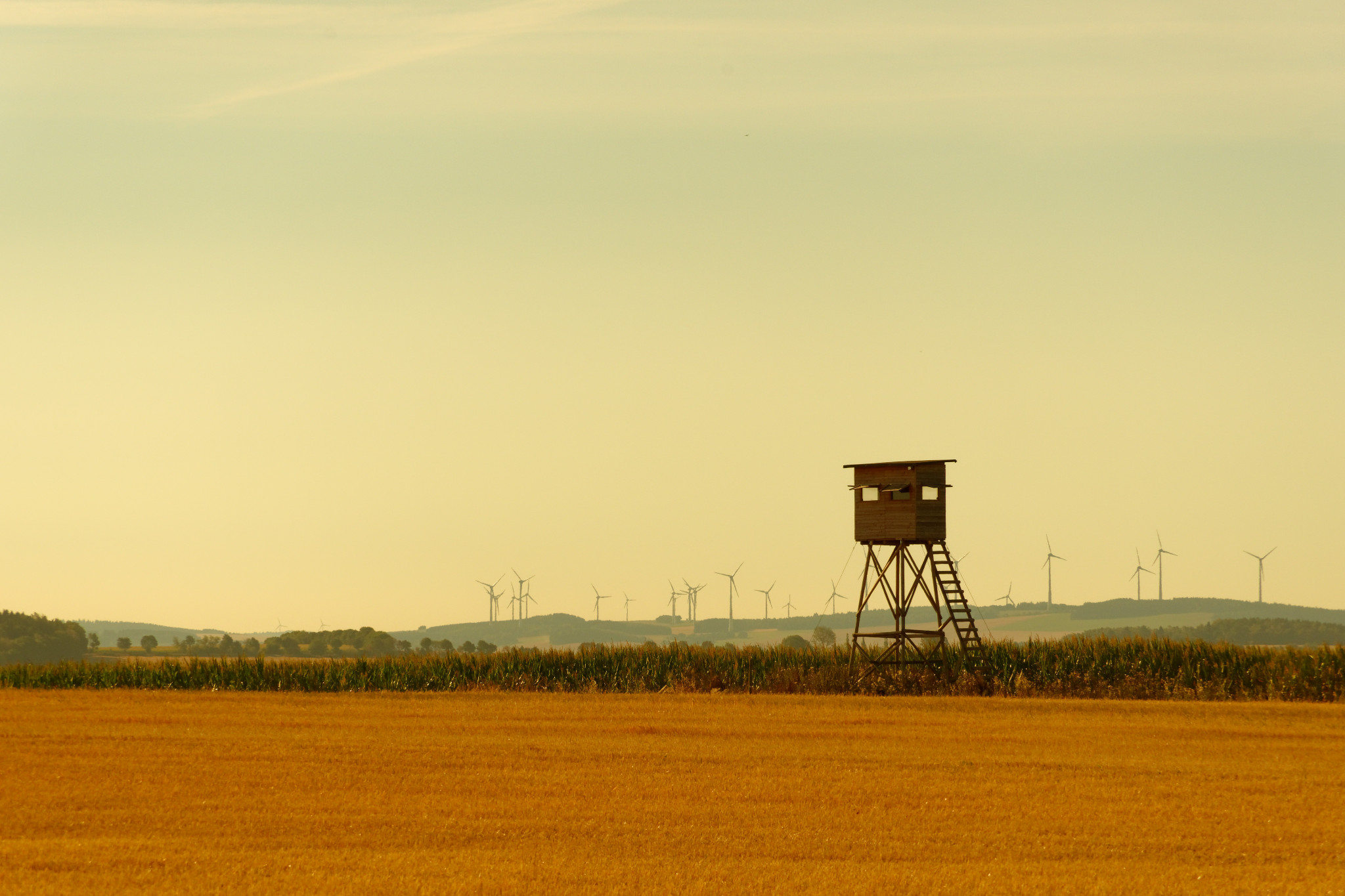 Oberreichenbacher Straße - 2018