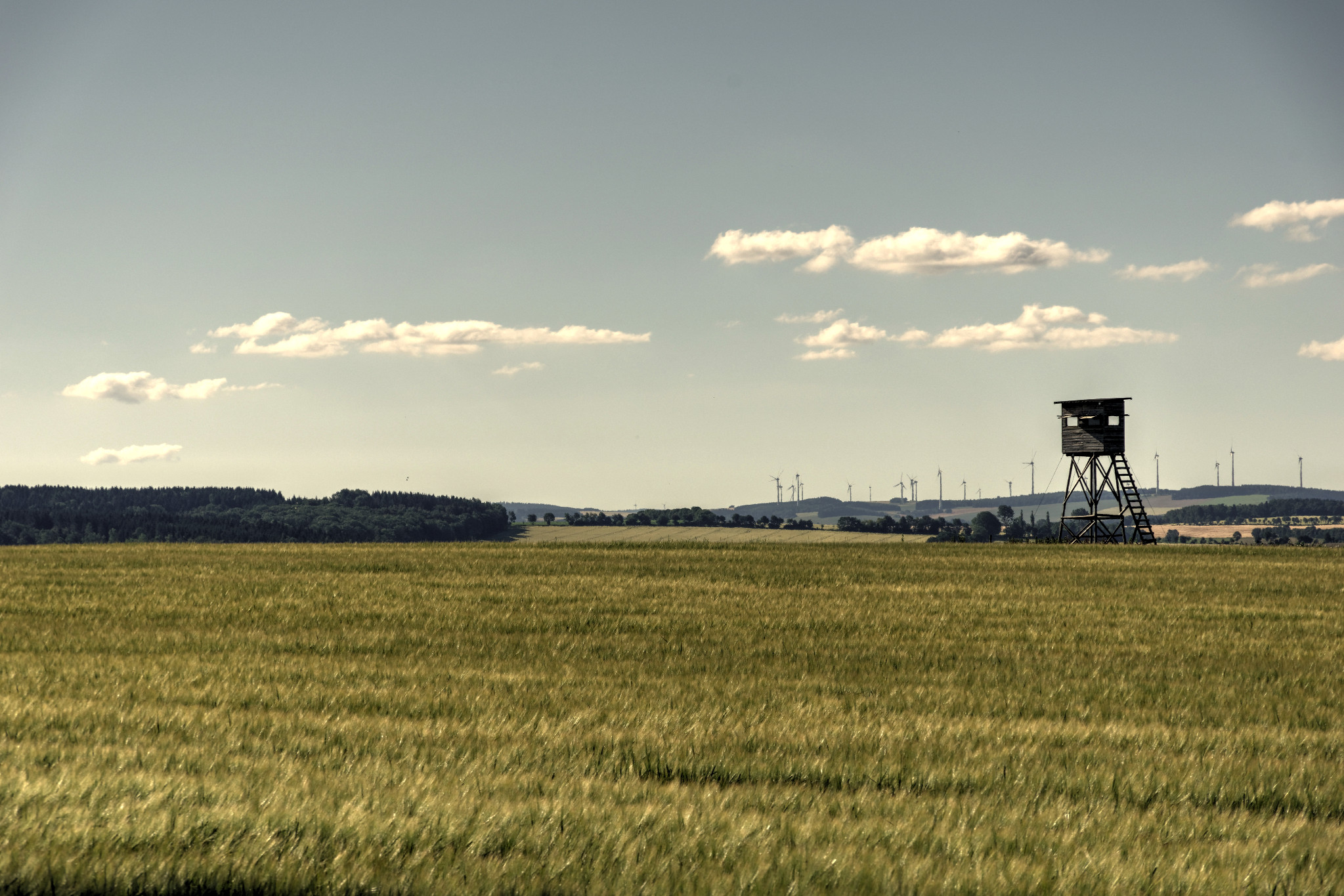 Oberreichenbacher Straße - 2018