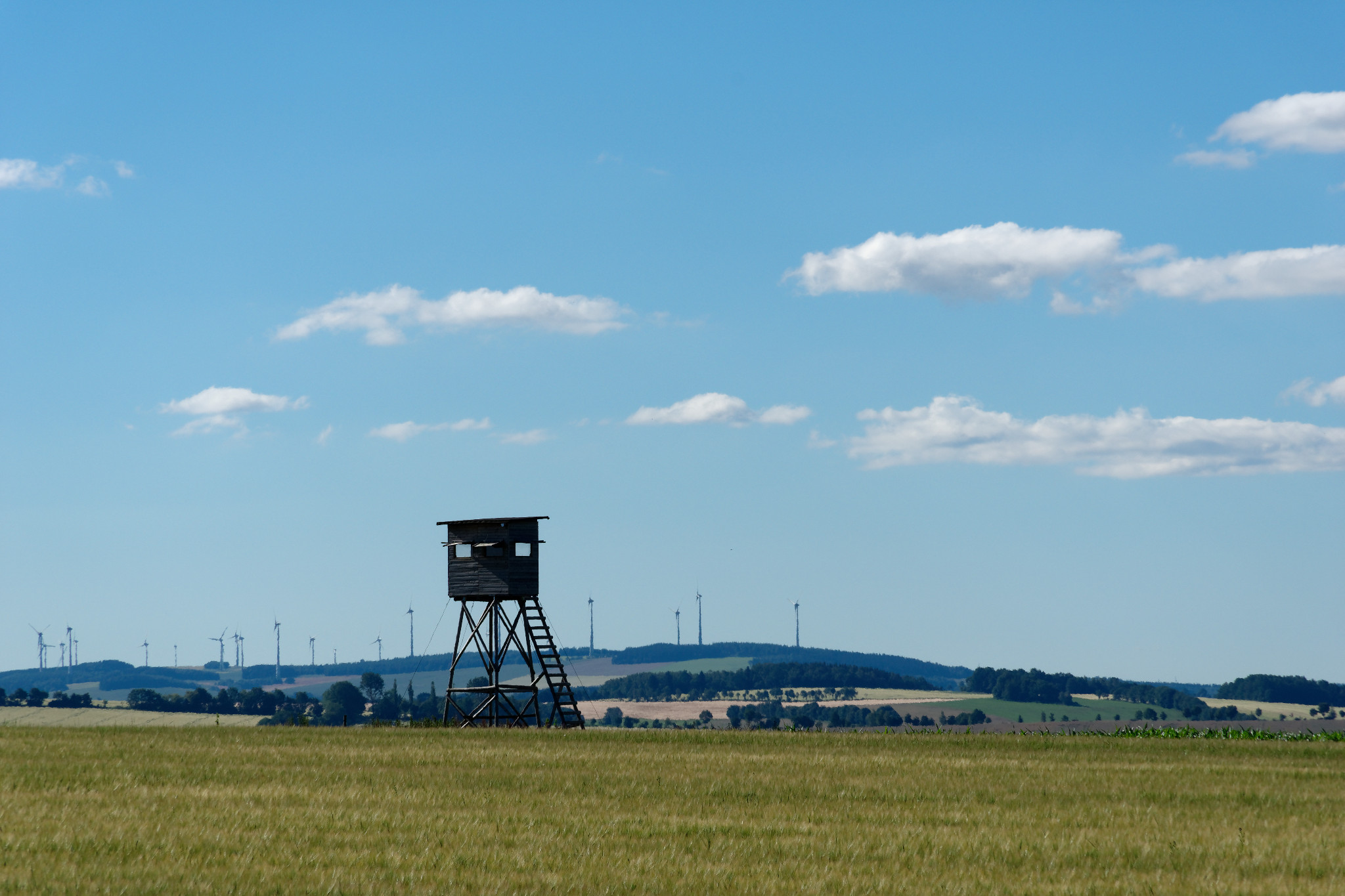 Oberreichenbacher Straße - 2018