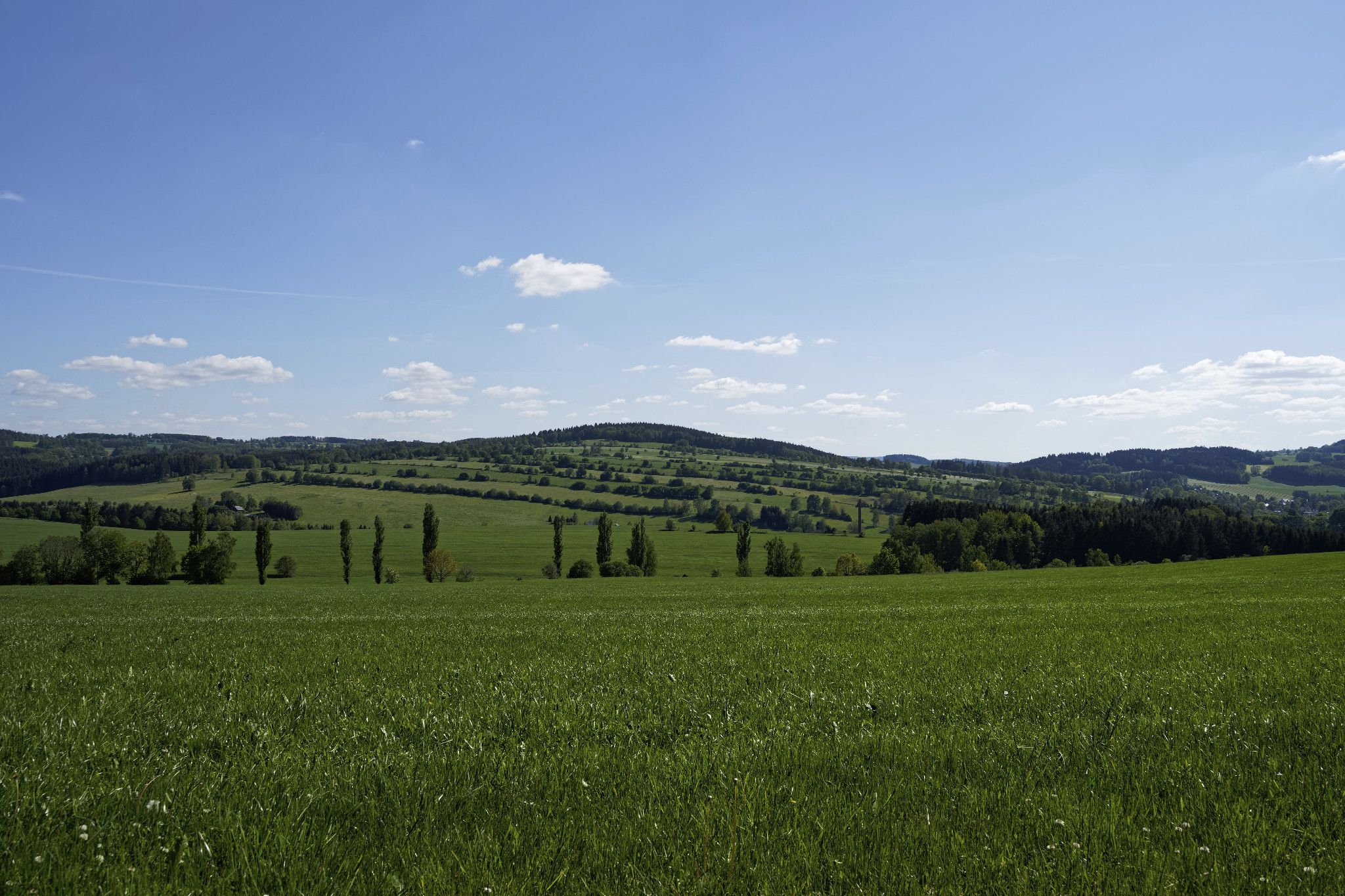 Schönfeld im Juni 2020