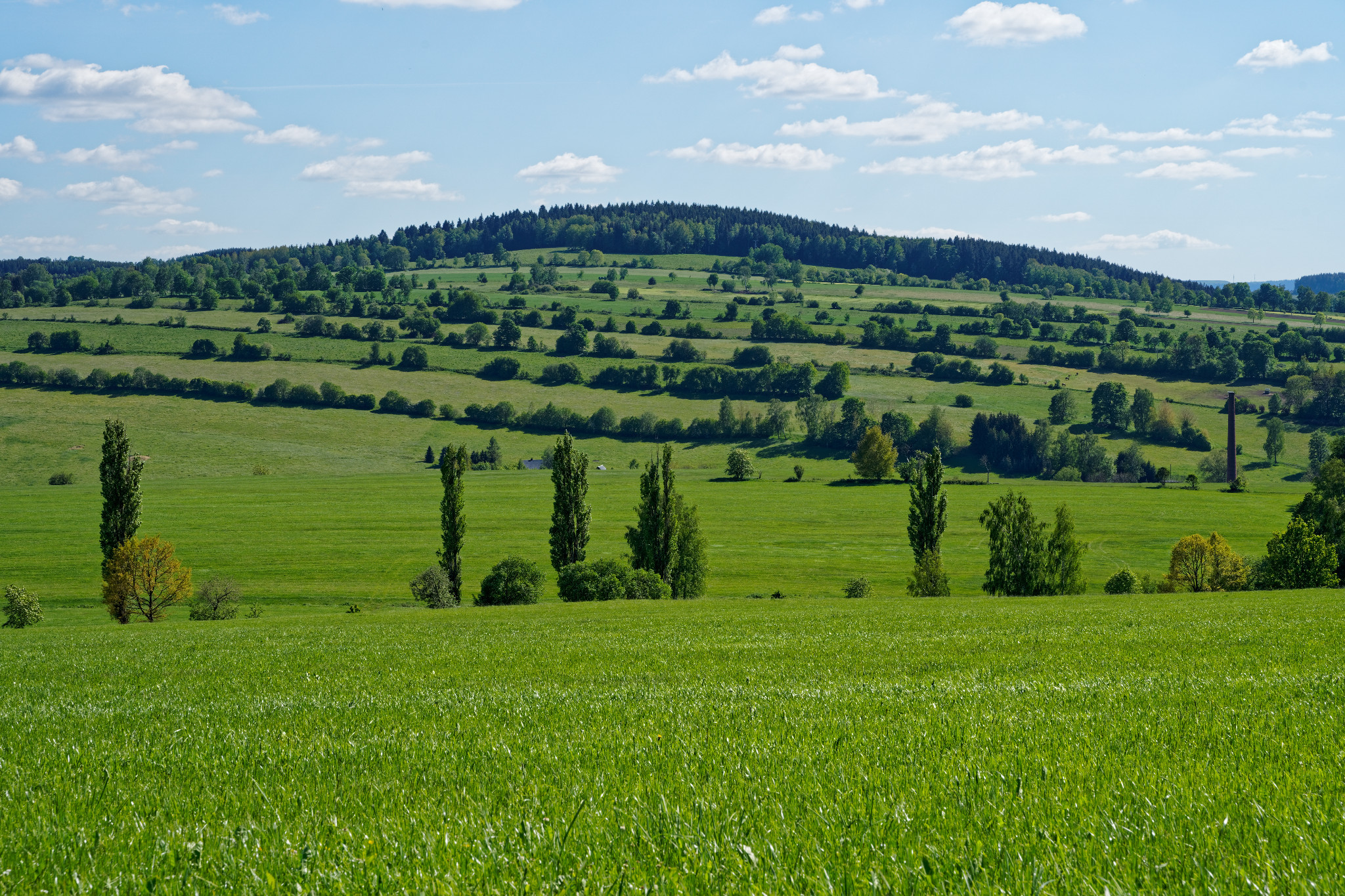 Schönfeld im Juni 2020