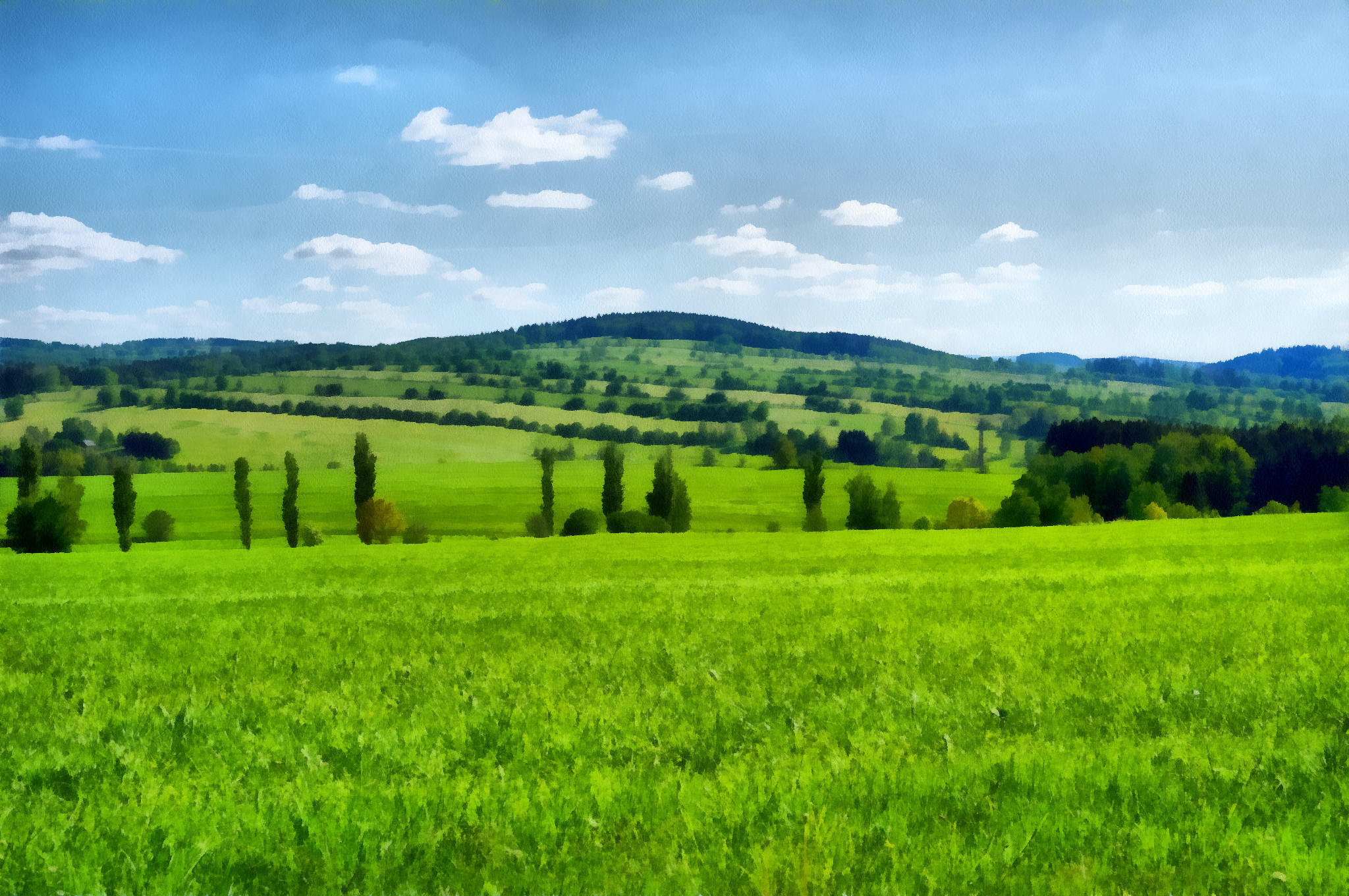 Schönfeld im Juni 2020