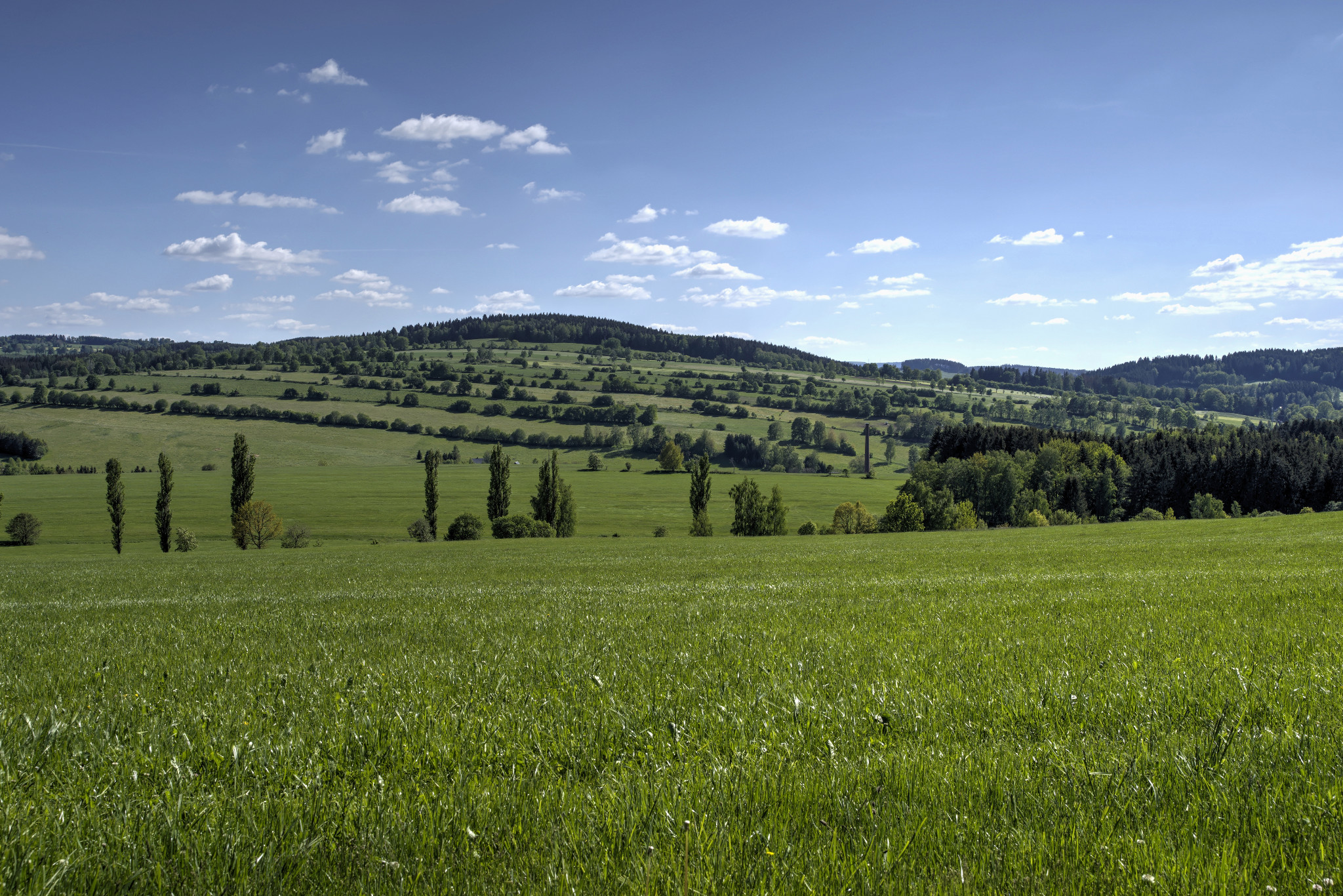 Schönfeld im Juni 2020