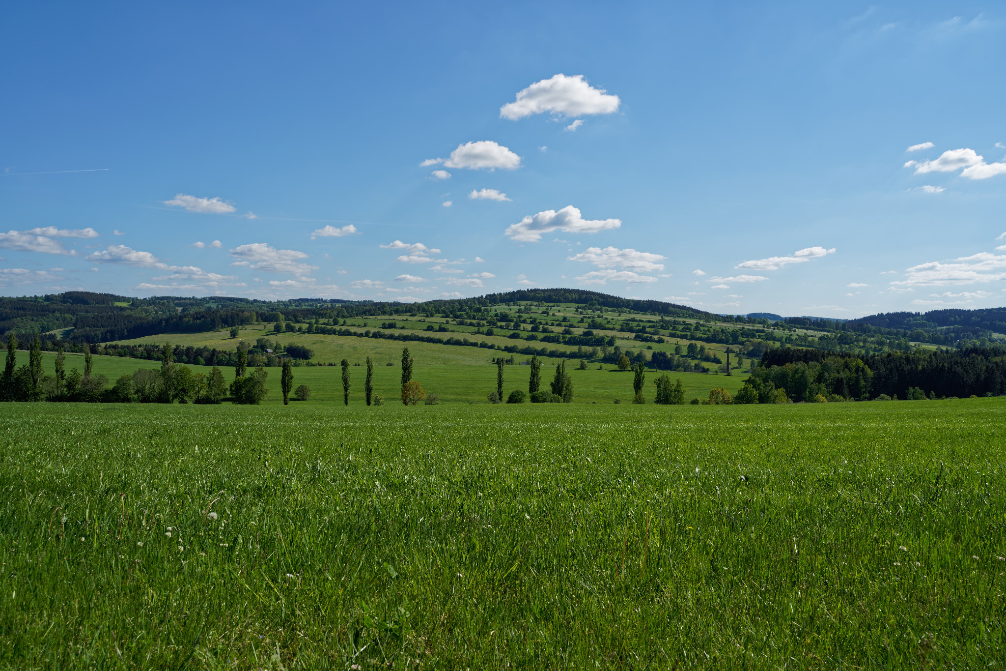 Schönfeld im Juni 2020