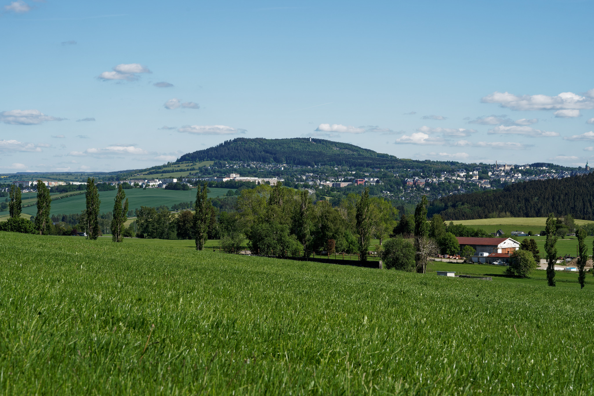 Schönfeld im Juni 2020