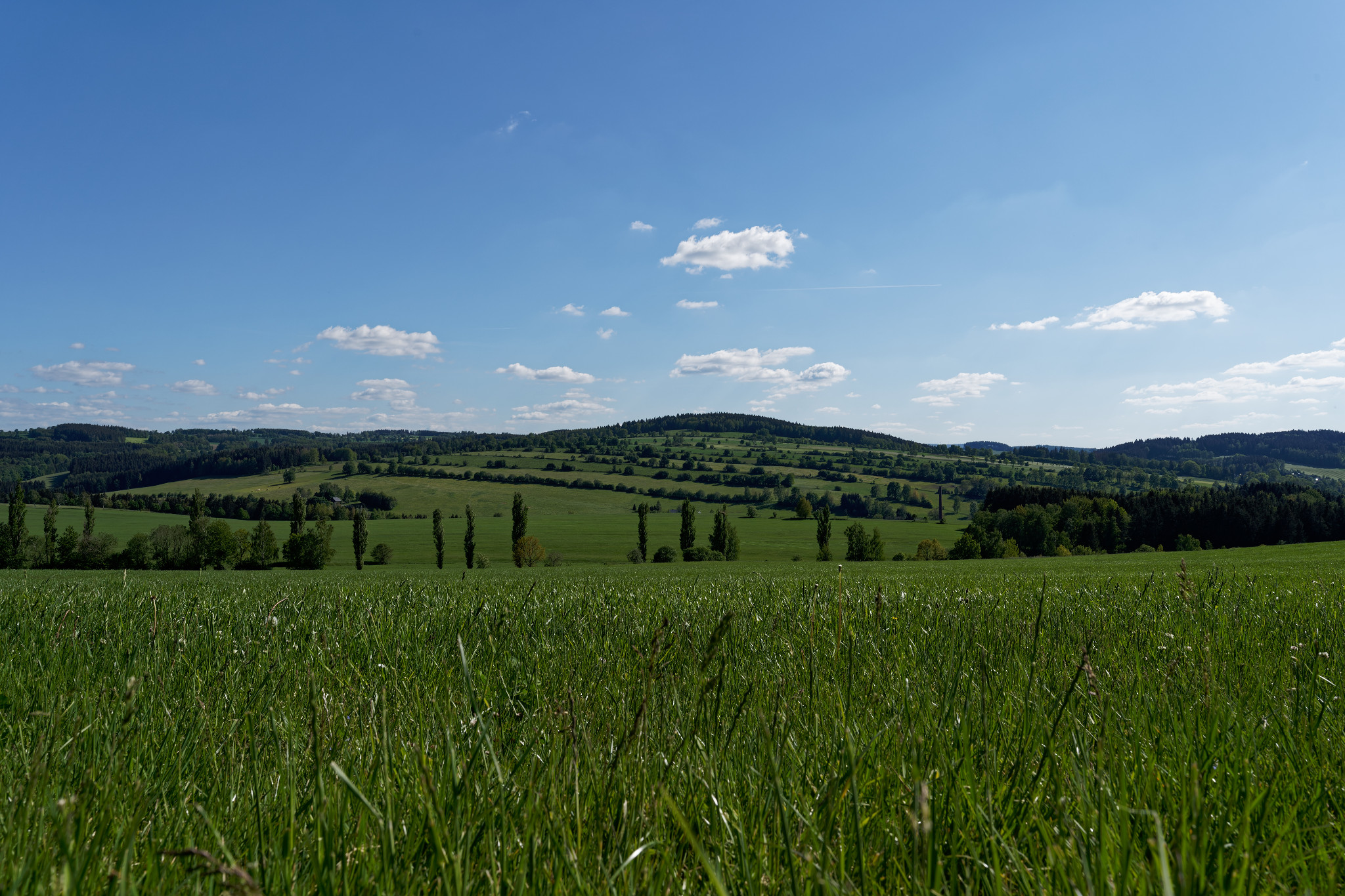 Schönfeld im Juni 2020