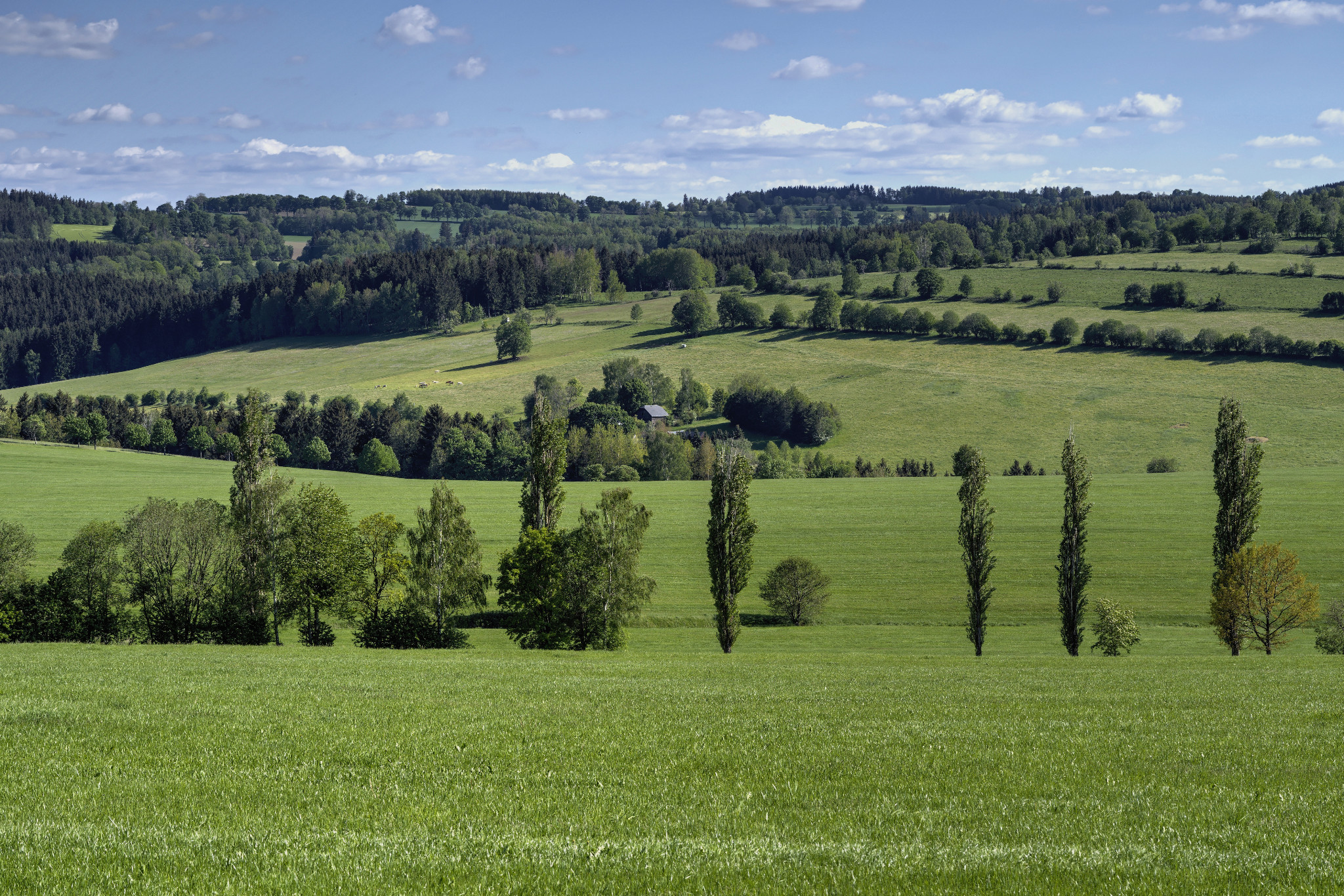 Schönfeld im Juni 2020
