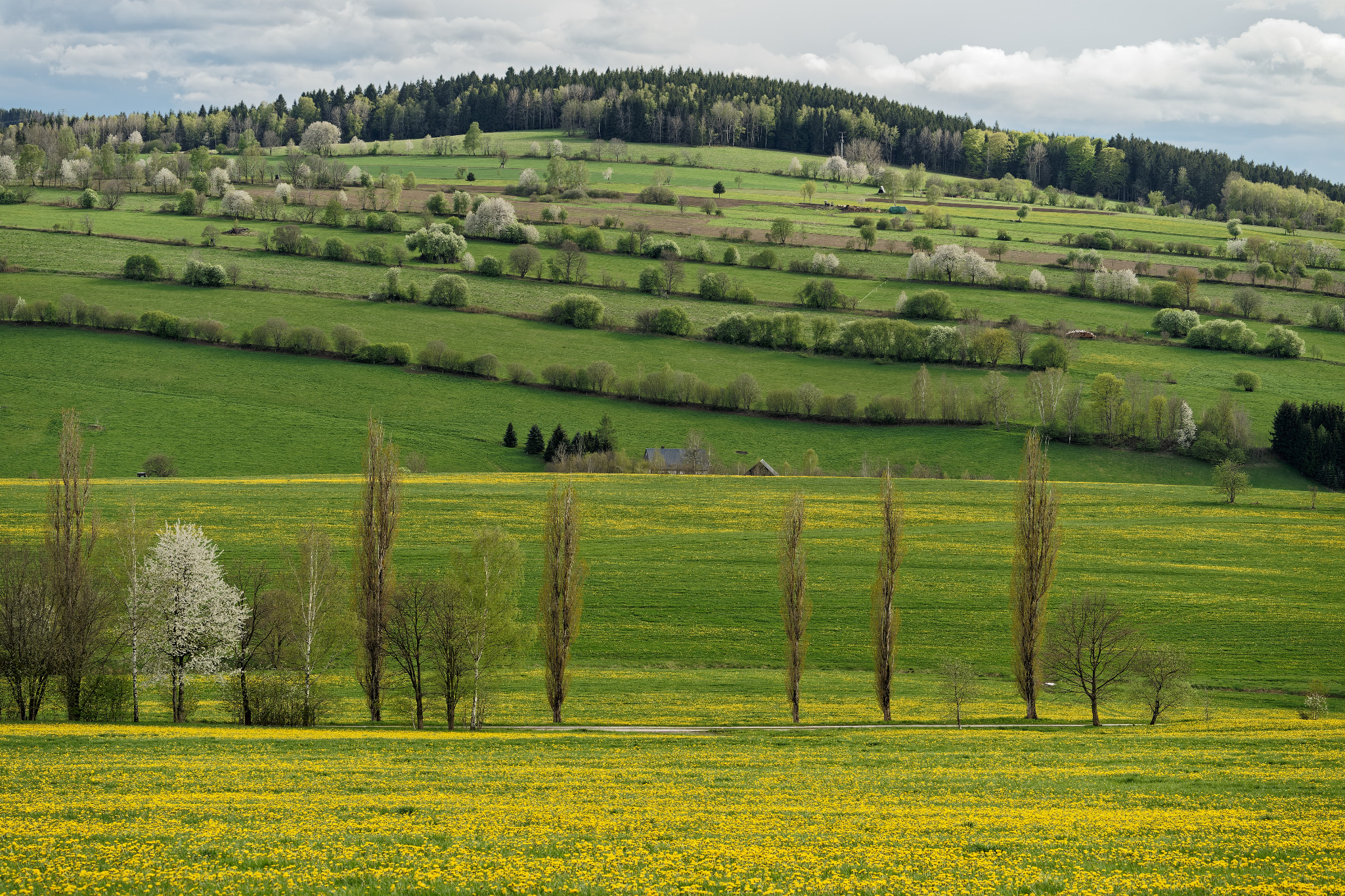 Frühjahr 2021 - Schönfeld
