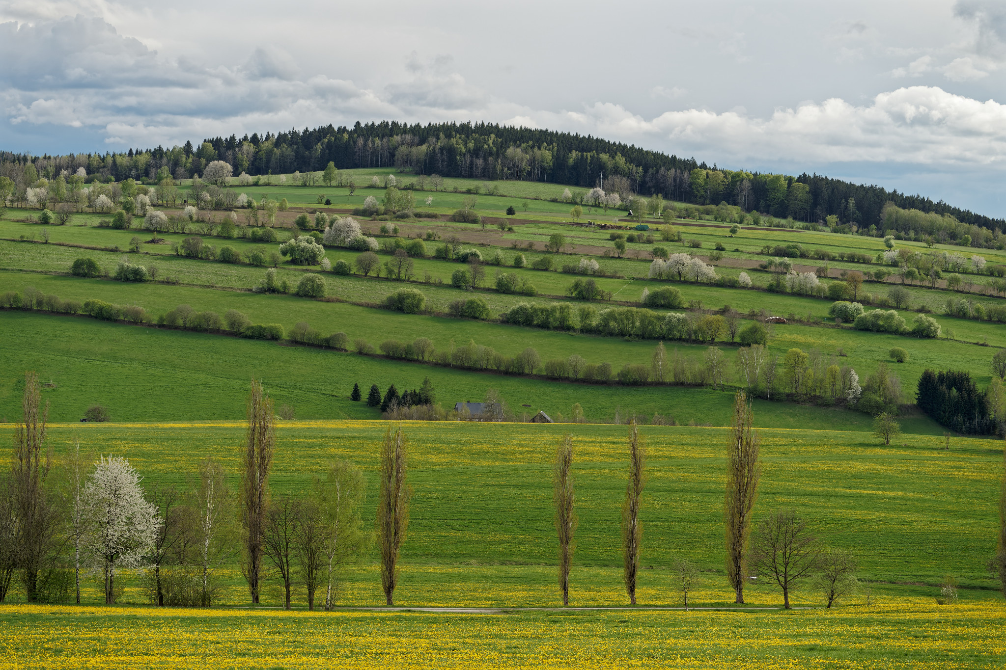 Frühjahr 2021 - Schönfeld