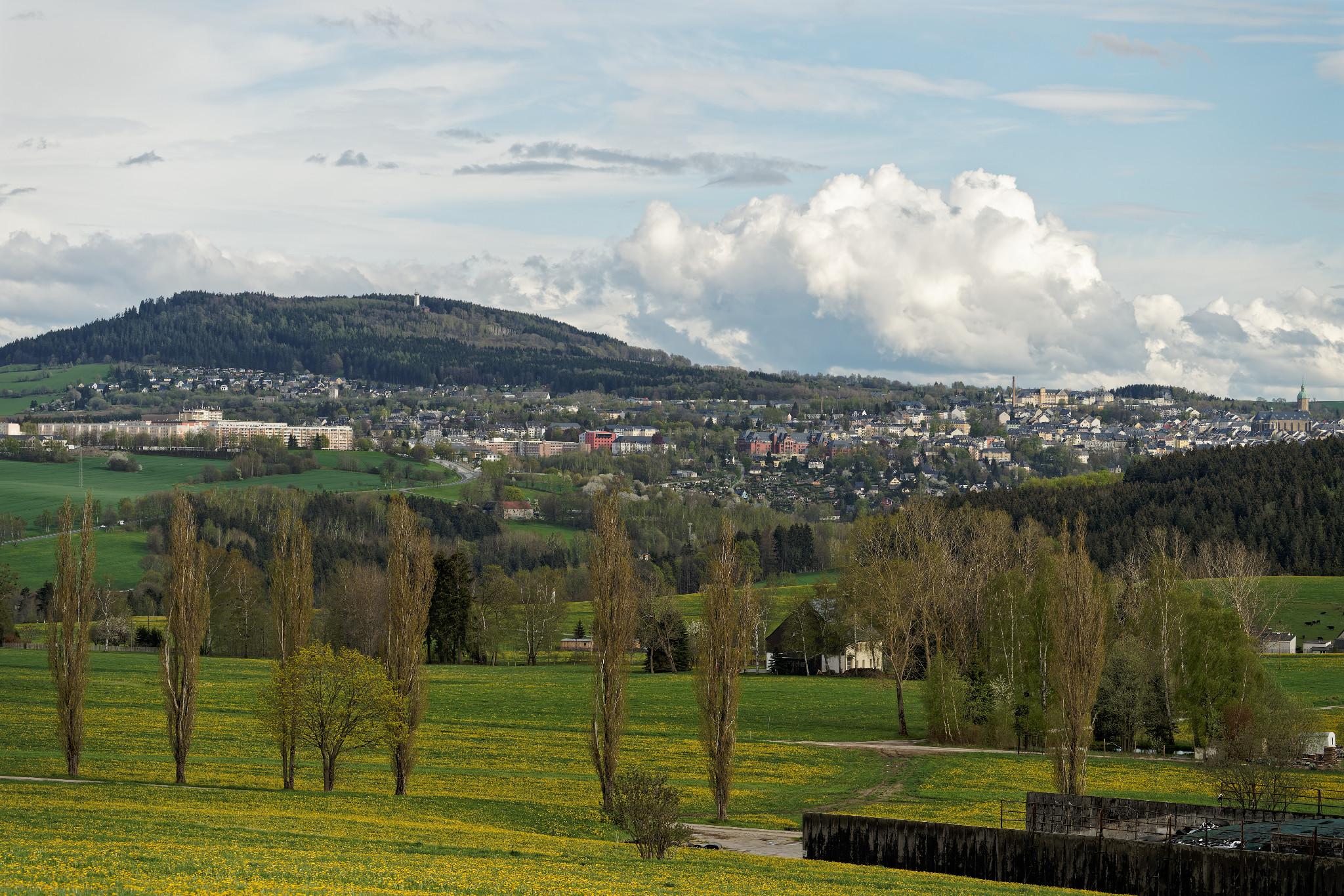 Frühjahr 2021 - Schönfeld