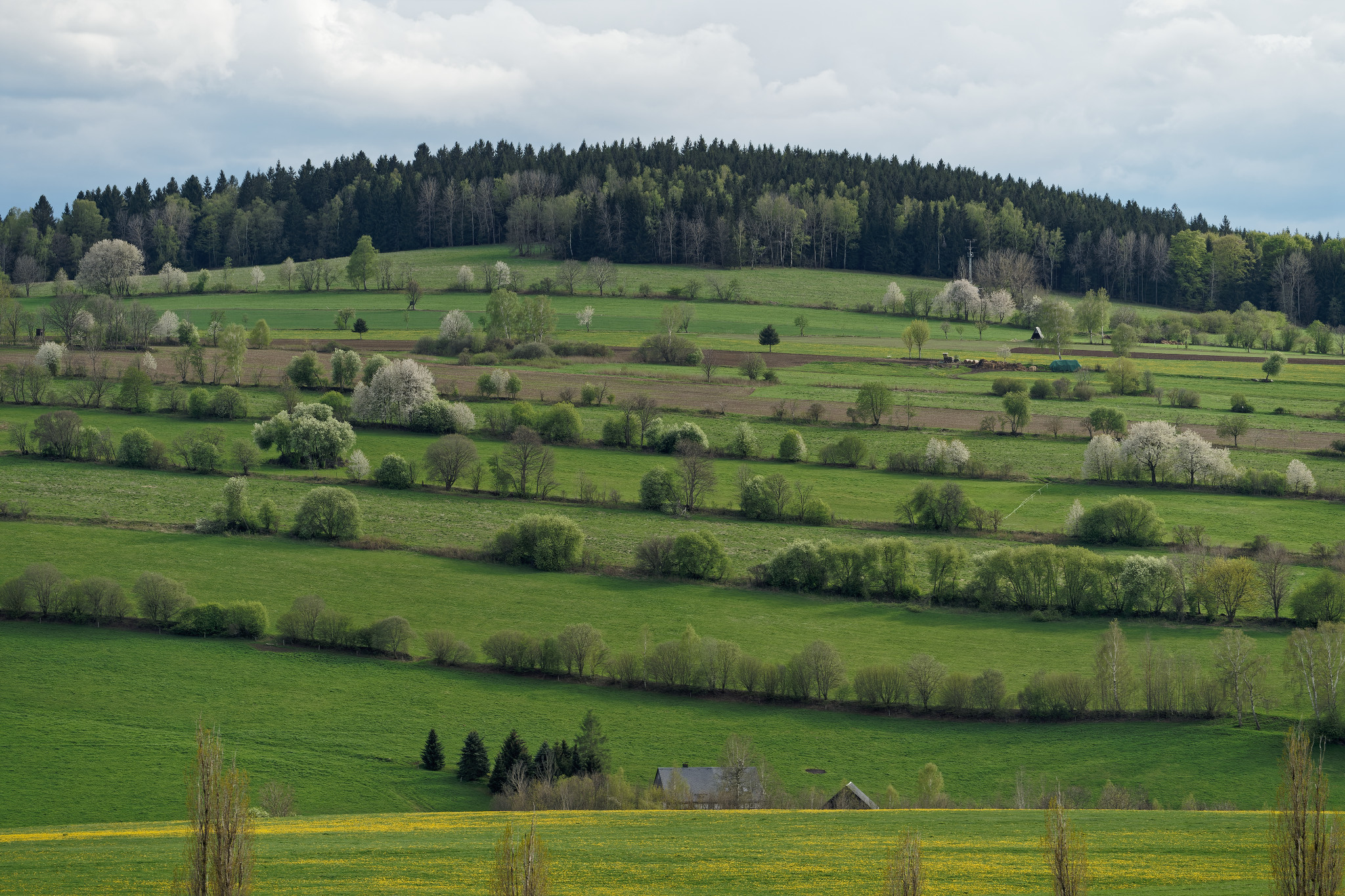 Frühjahr 2021 - Schönfeld