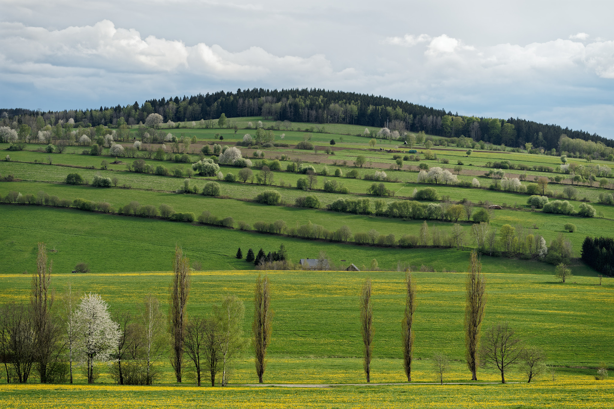 Frühjahr 2021 - Schönfeld