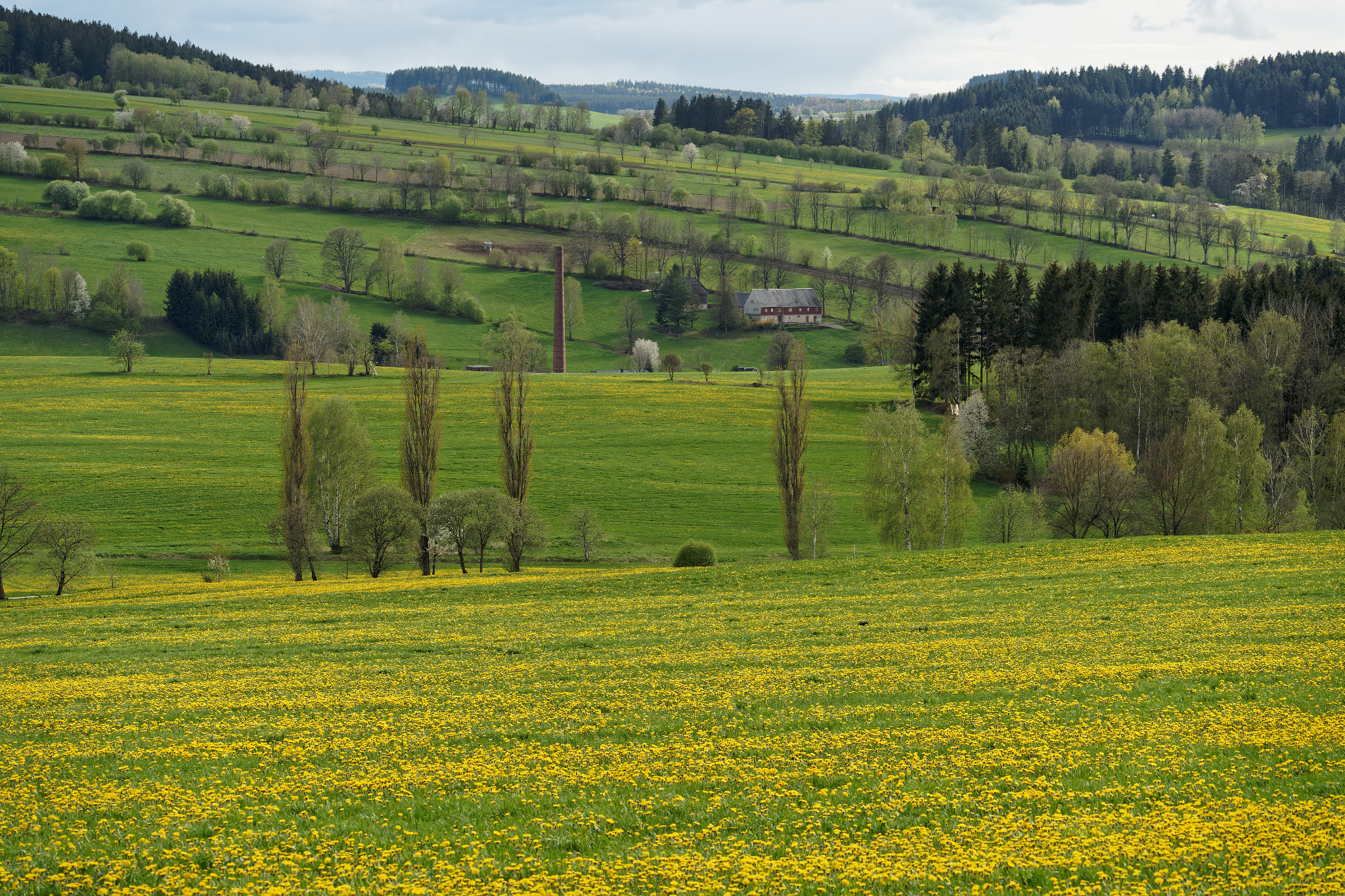 Frühjahr 2021 - Schönfeld