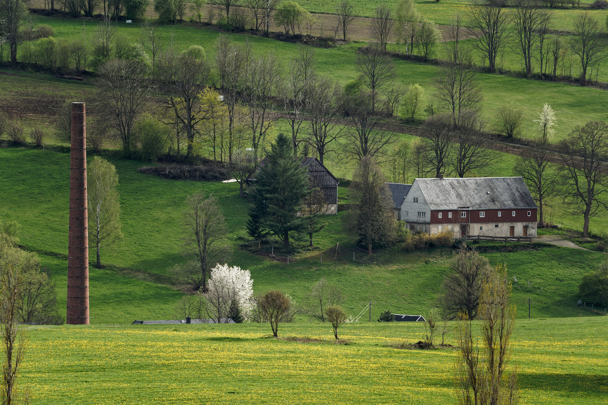 Frühjahr 2021 - Schönfeld