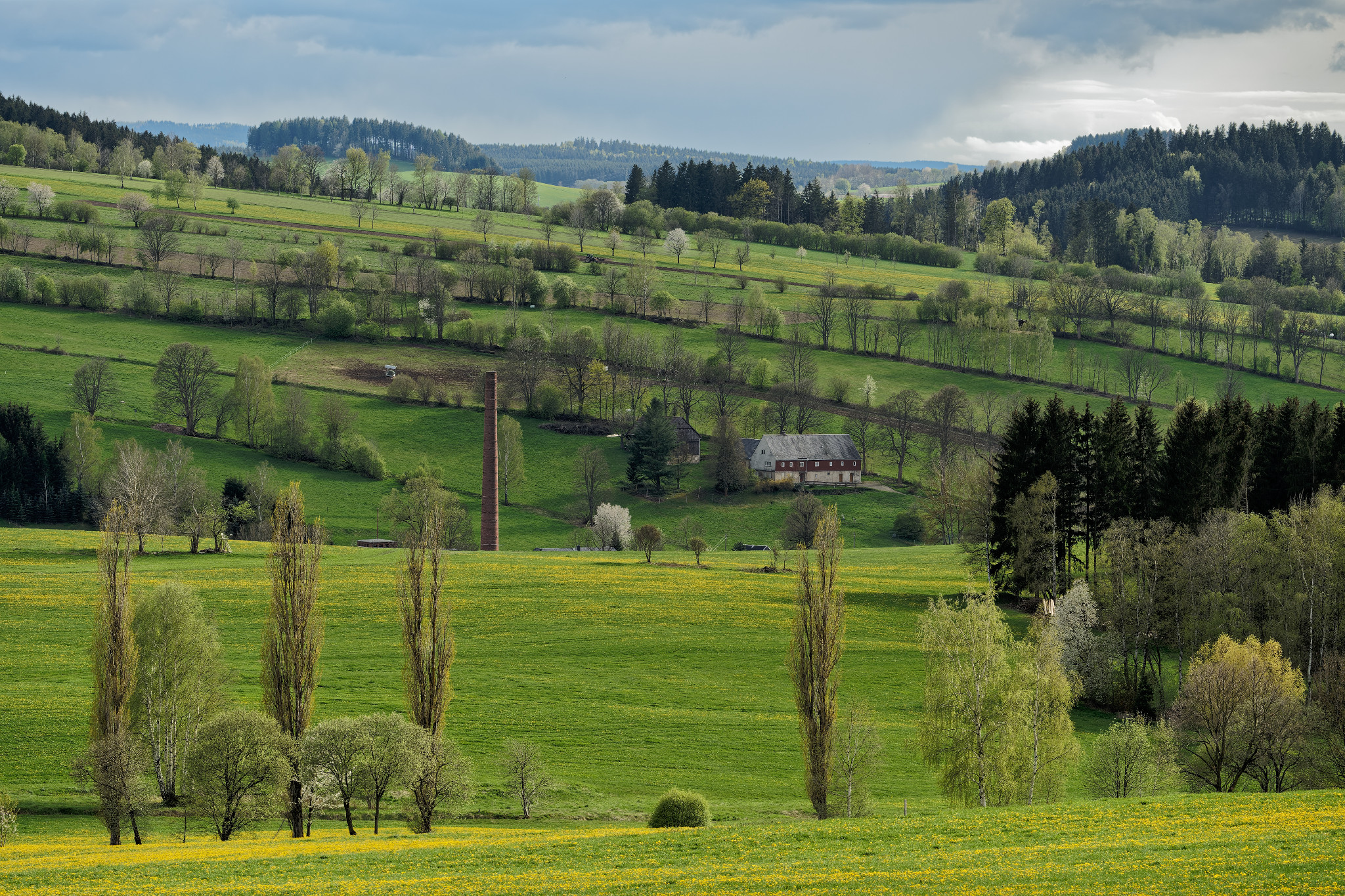 Frühjahr 2021 - Schönfeld