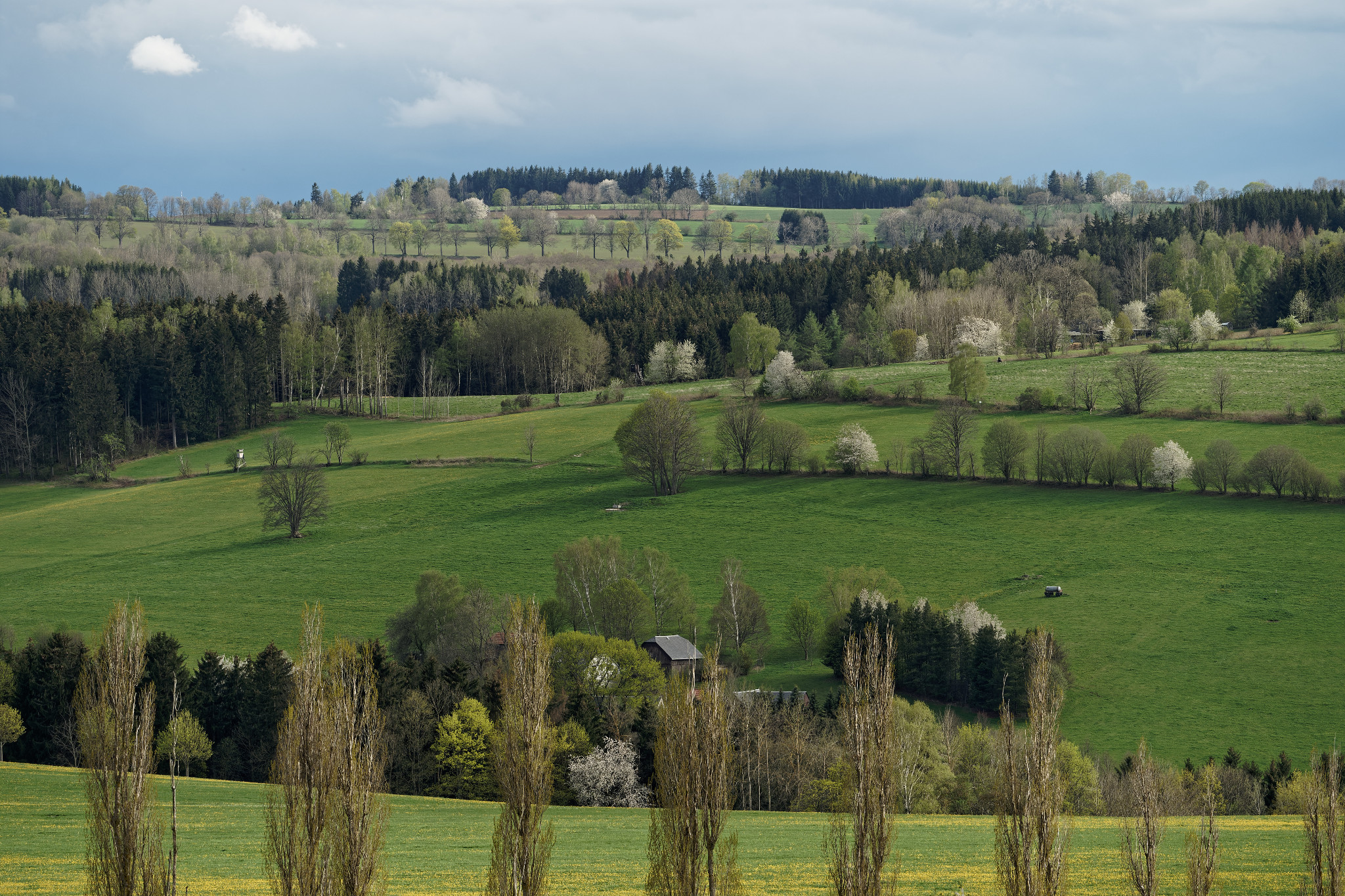 Frühjahr 2021 - Schönfeld
