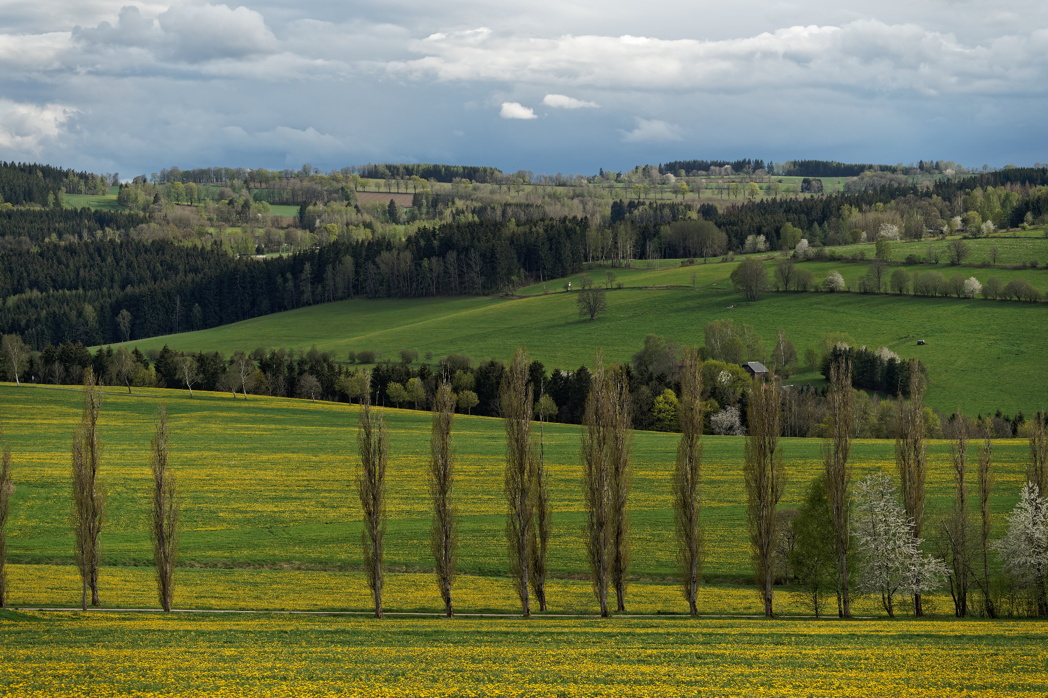 Frühjahr 2021 - Schönfeld