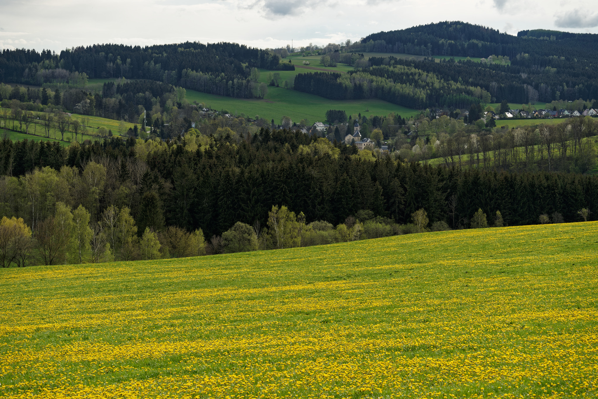 Frühjahr 2021 - Schönfeld