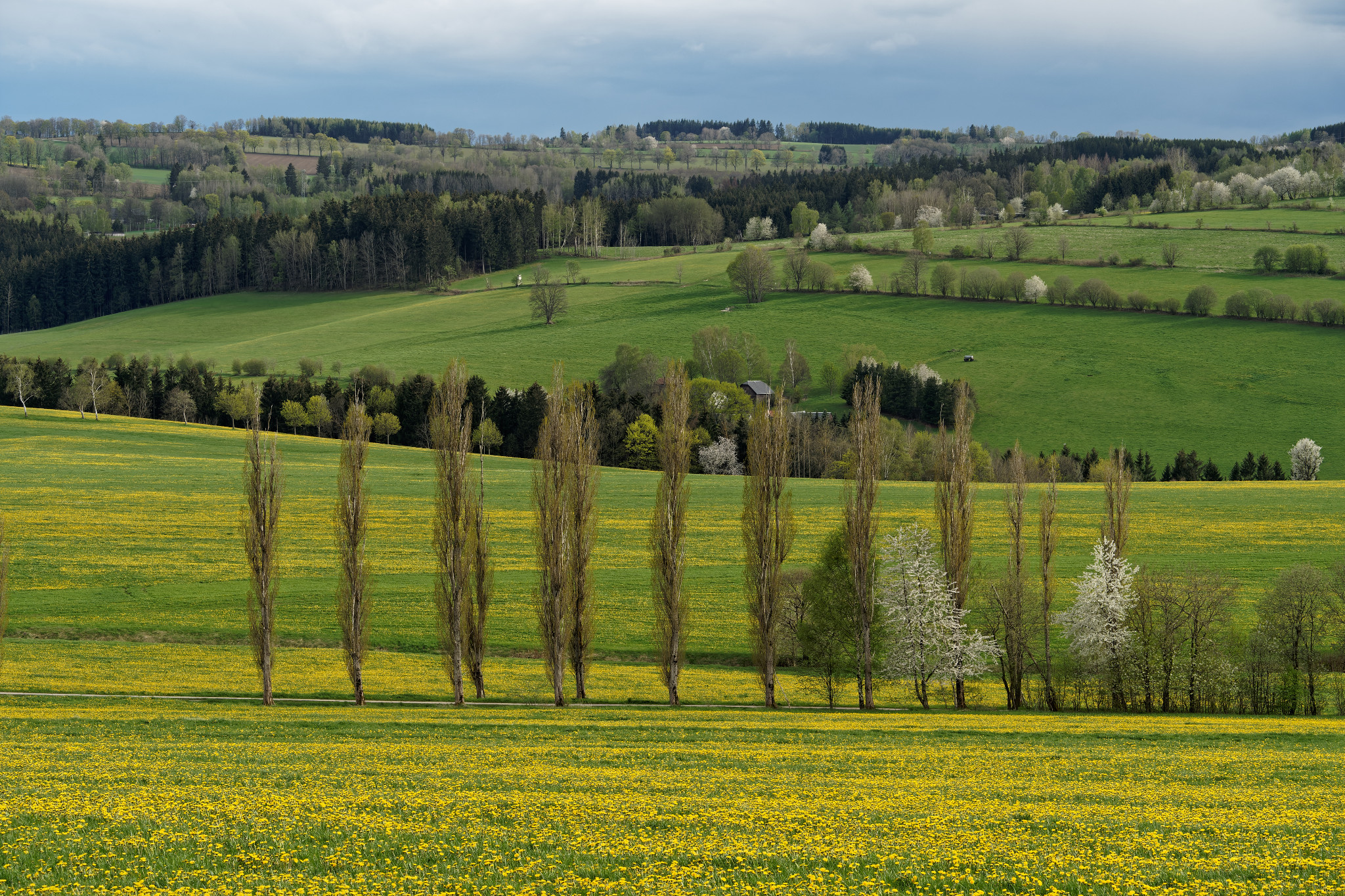 Frühjahr 2021 - Schönfeld