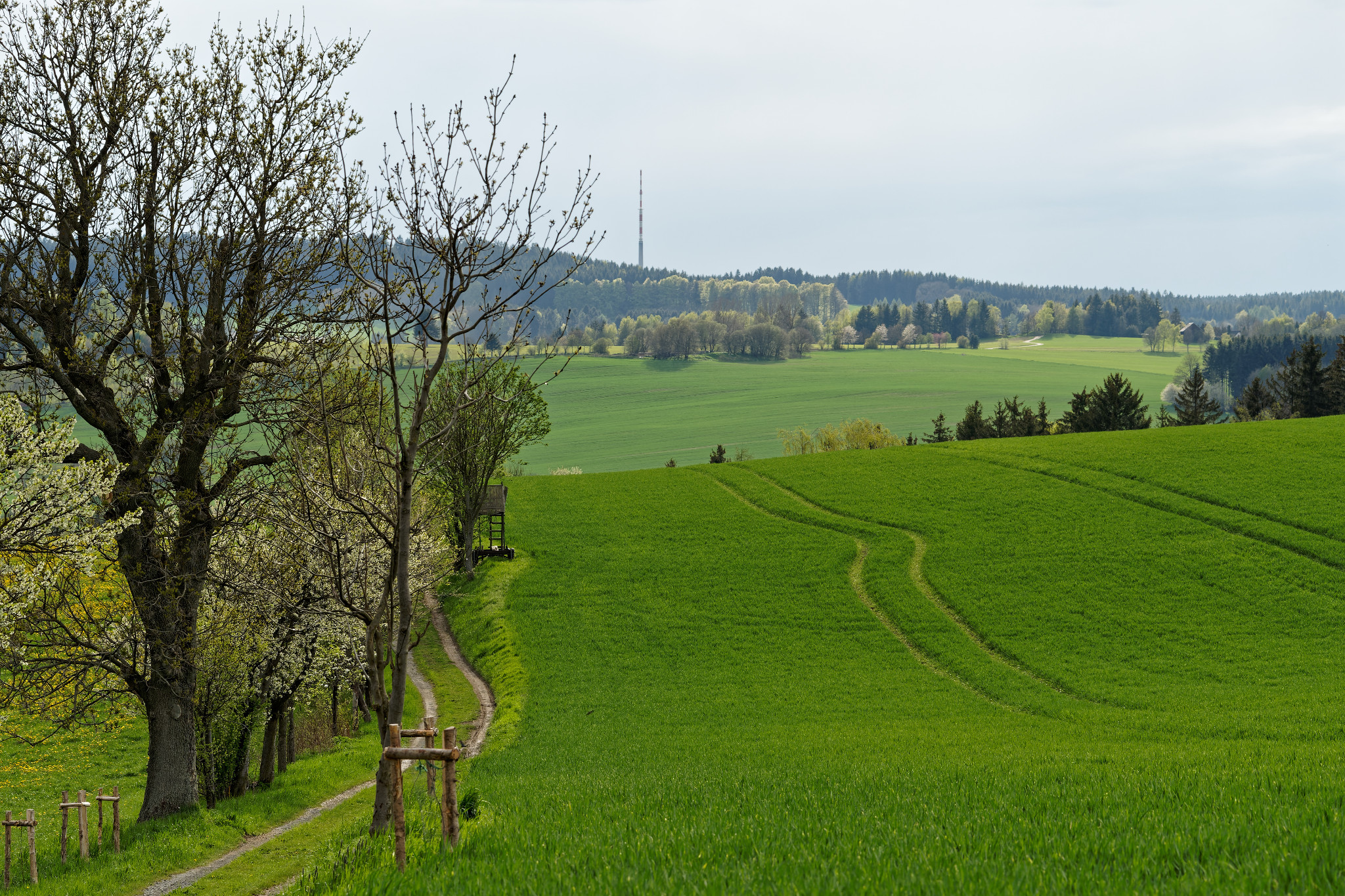 Frühjahr 2021 - Schönfeld
