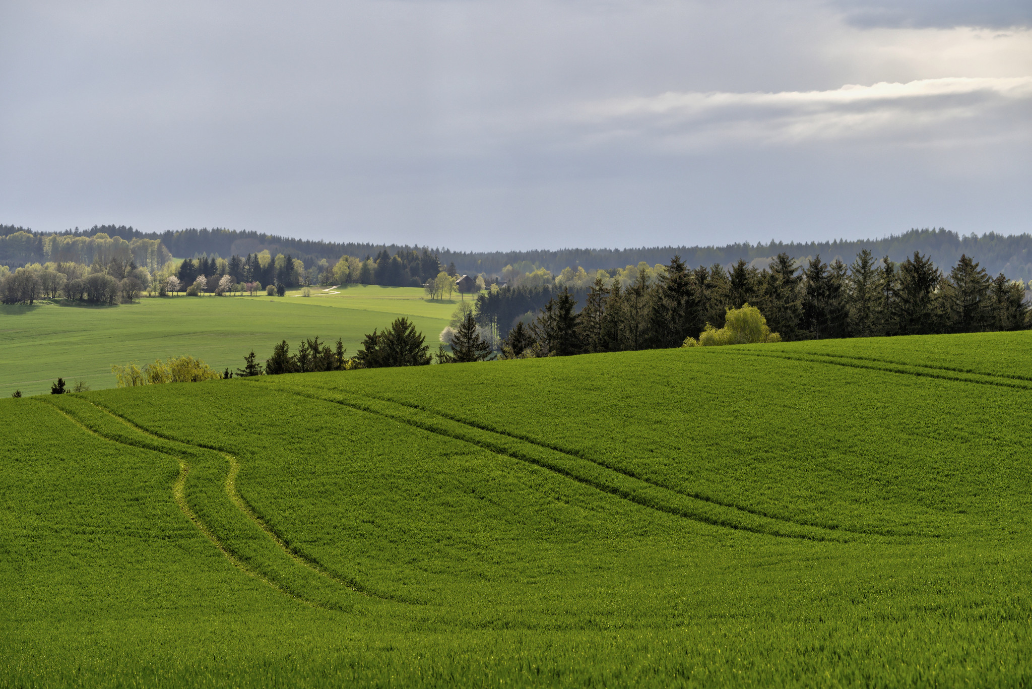 Frühjahr 2021 - Schönfeld