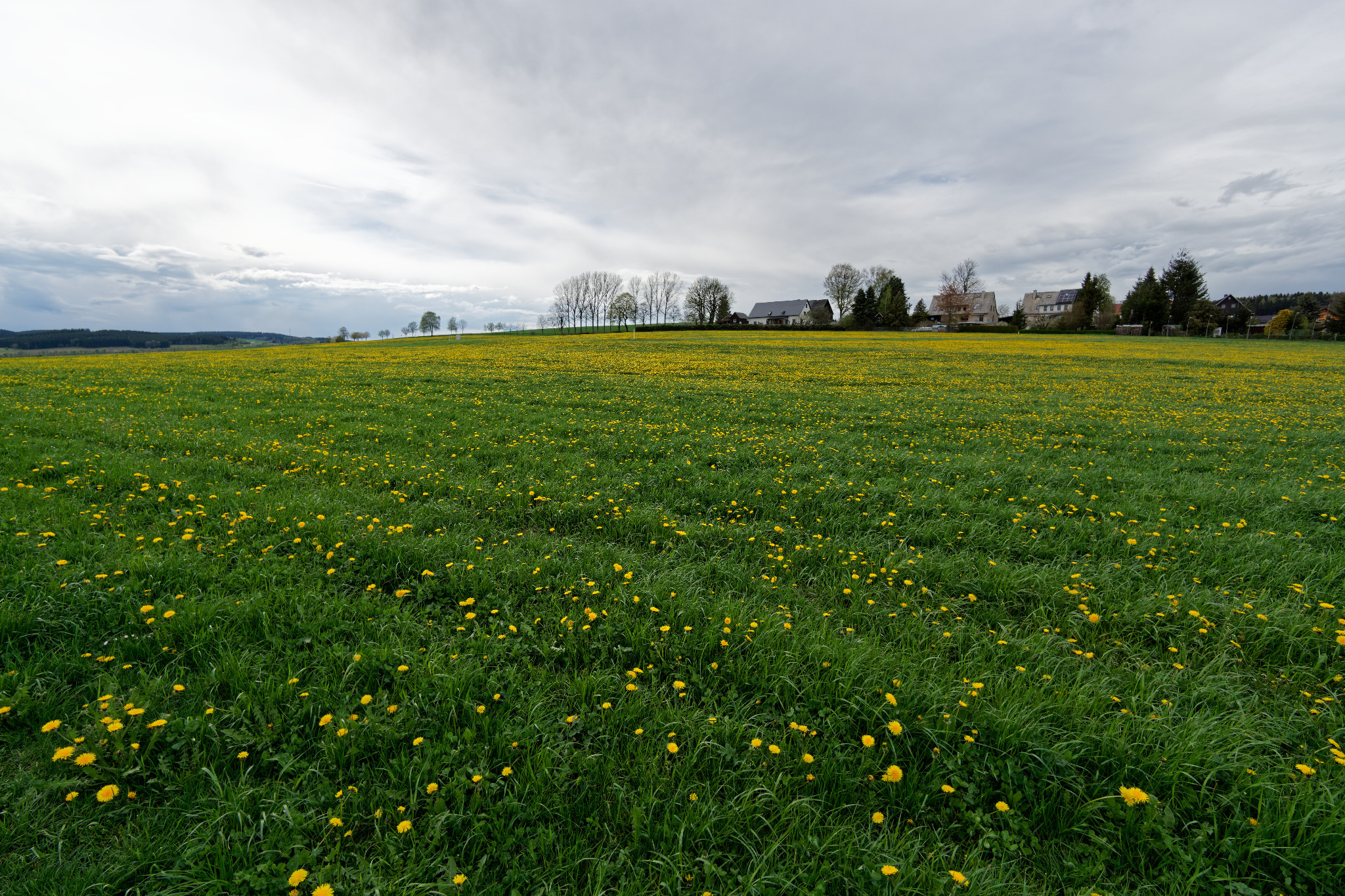 Frühjahr 2021 - Schönfeld