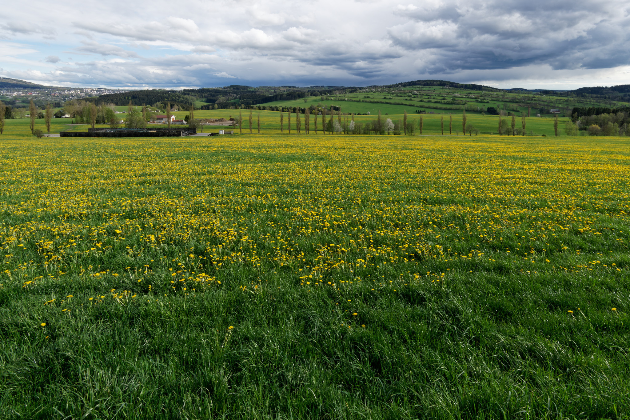 Frühjahr 2021 - Schönfeld