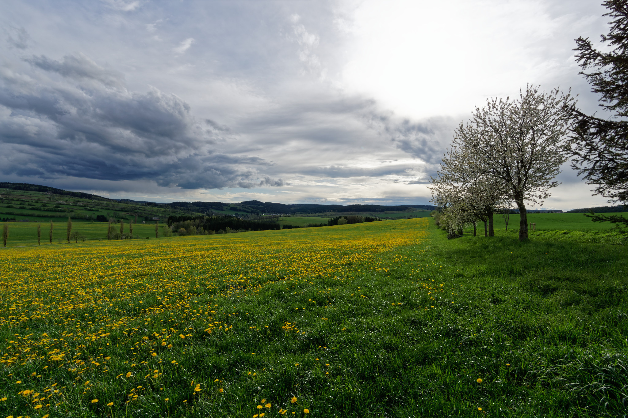 Frühjahr 2021 - Schönfeld