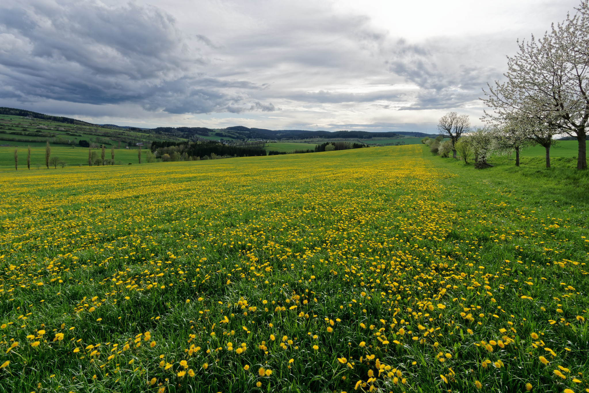 Frühjahr 2021 - Schönfeld