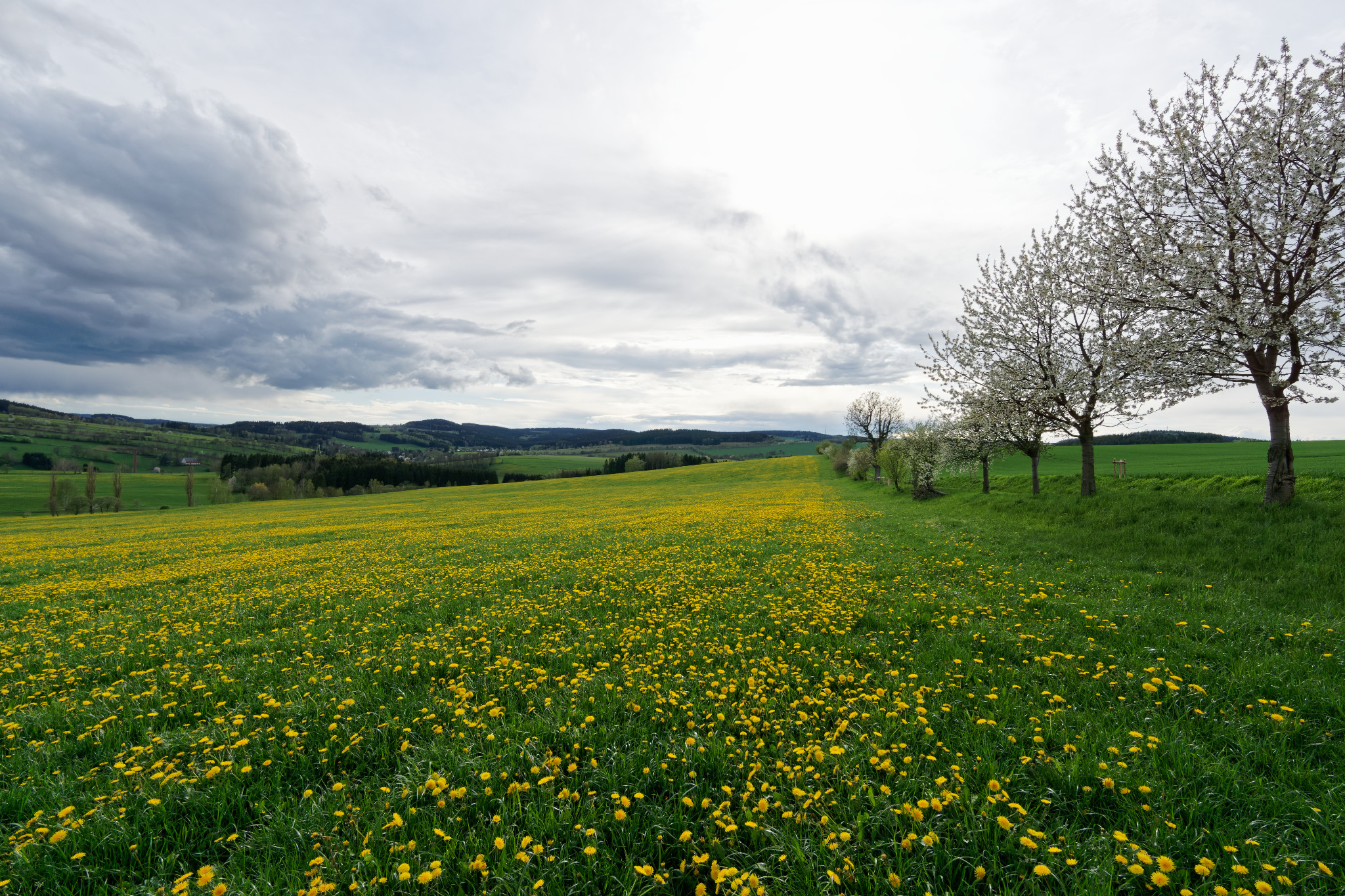 Frühjahr 2021 - Schönfeld