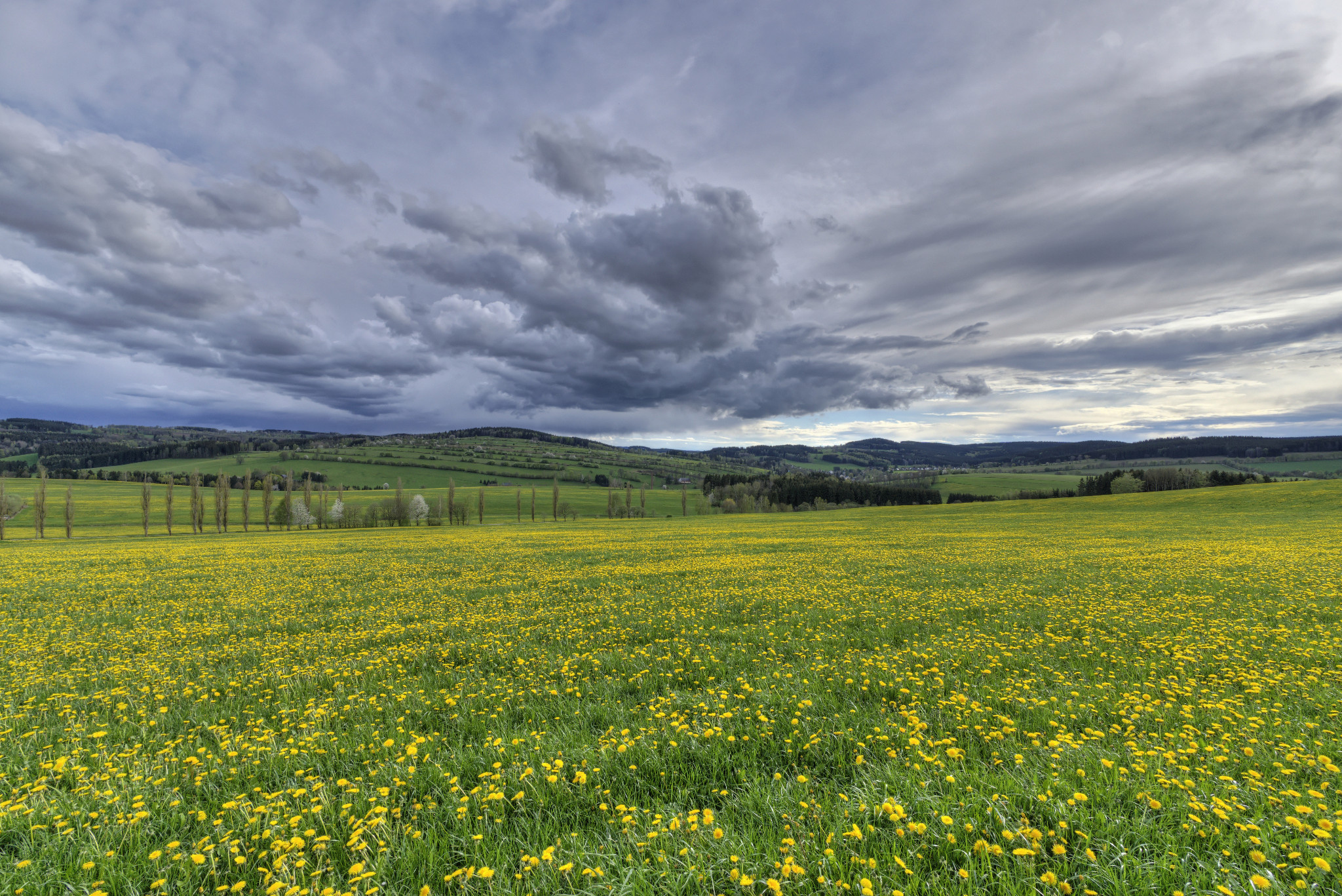 Frühjahr 2021 - Schönfeld