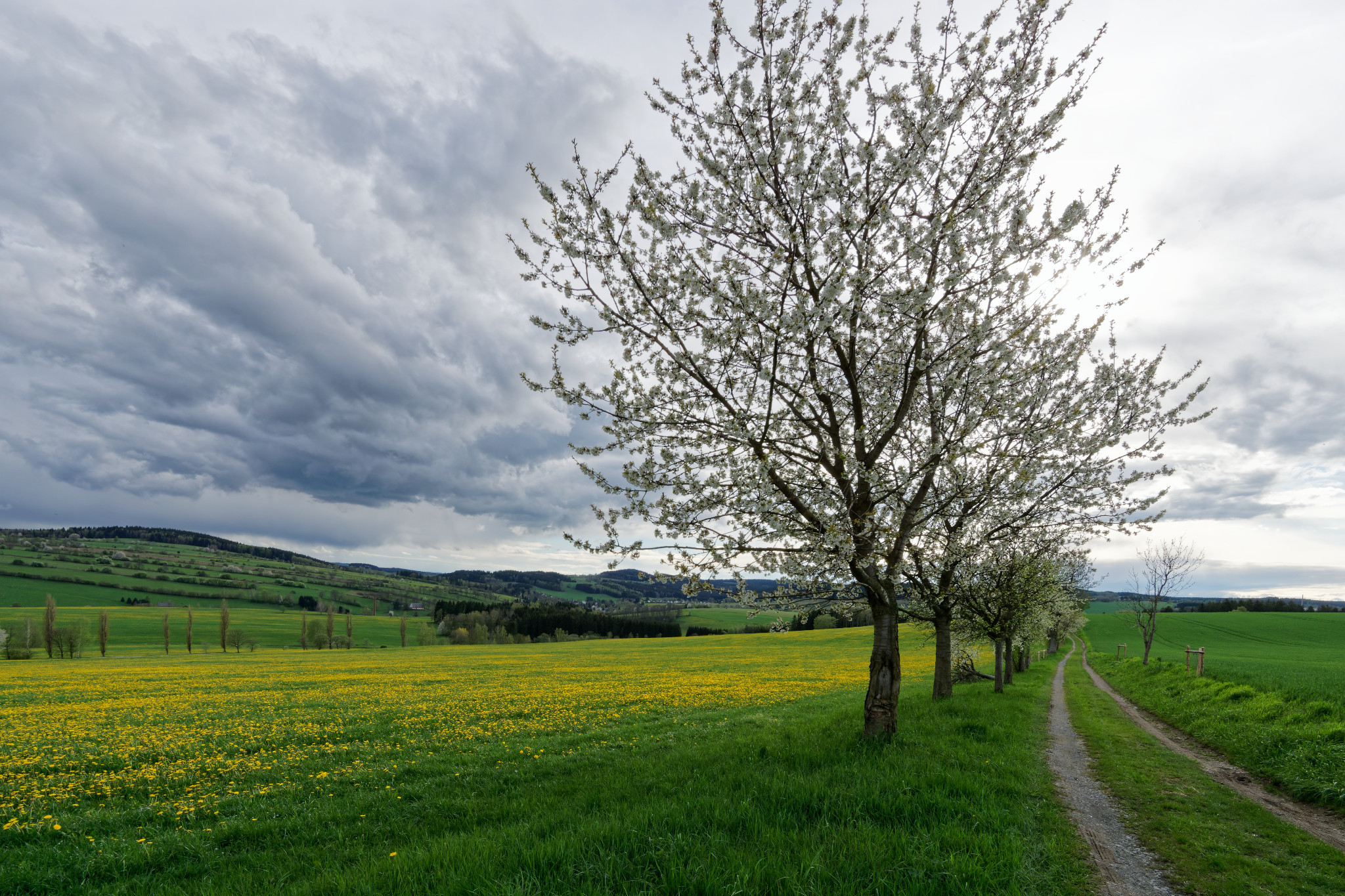 Frühjahr 2021 - Schönfeld