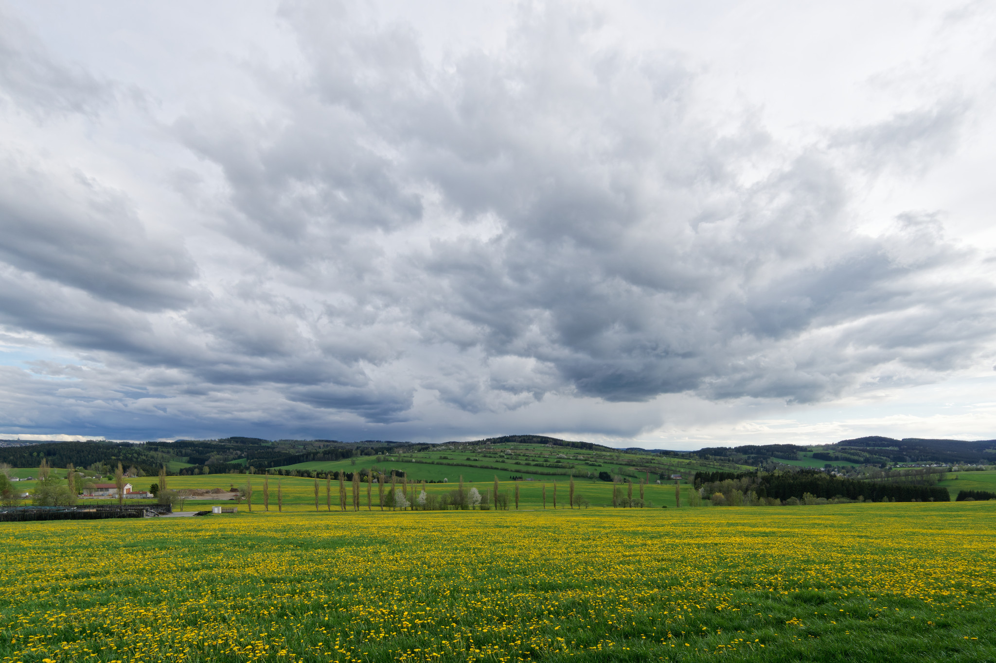 Frühjahr 2021 - Schönfeld