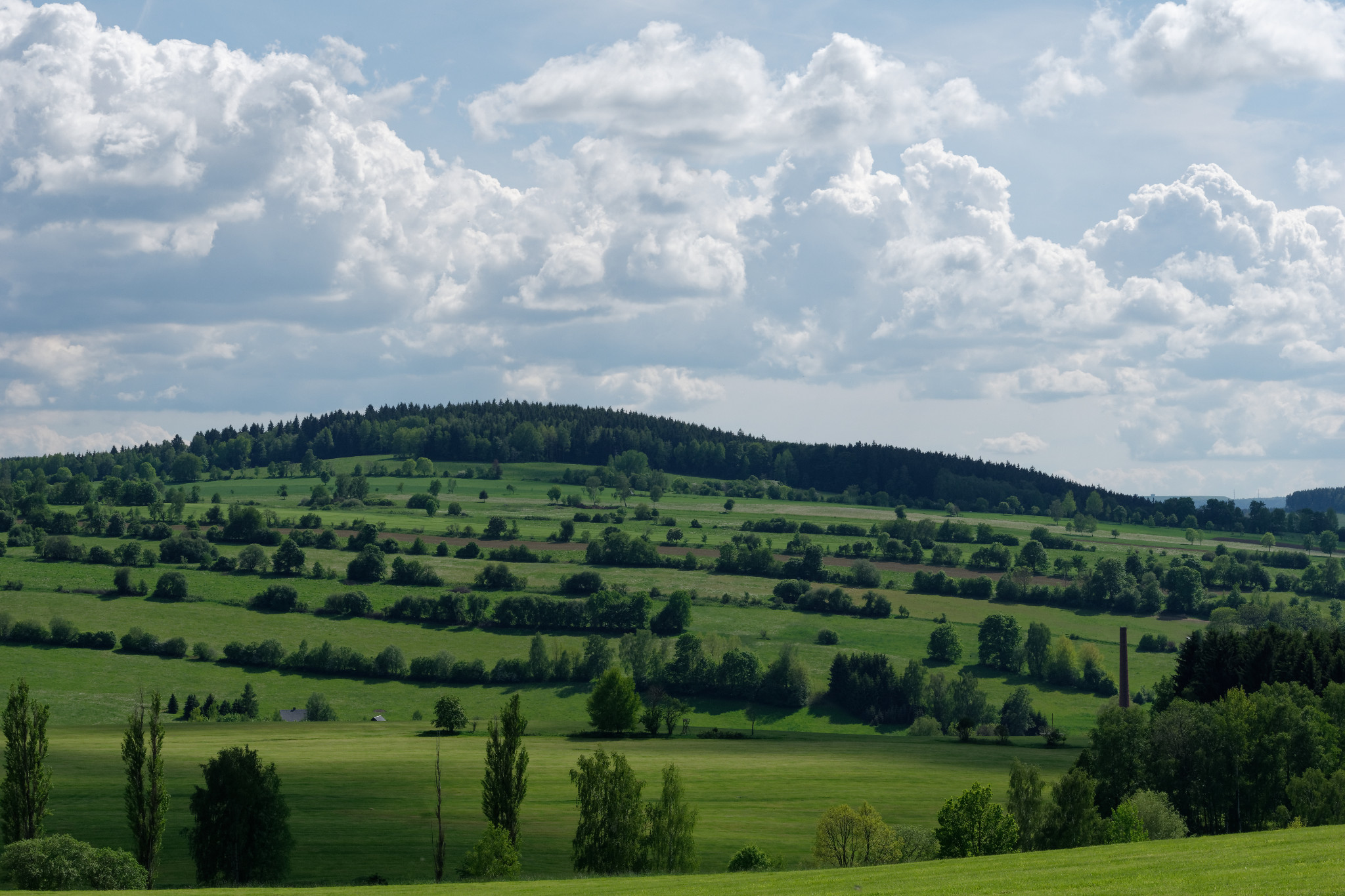 Schönfeld - Anfang Juni 2019