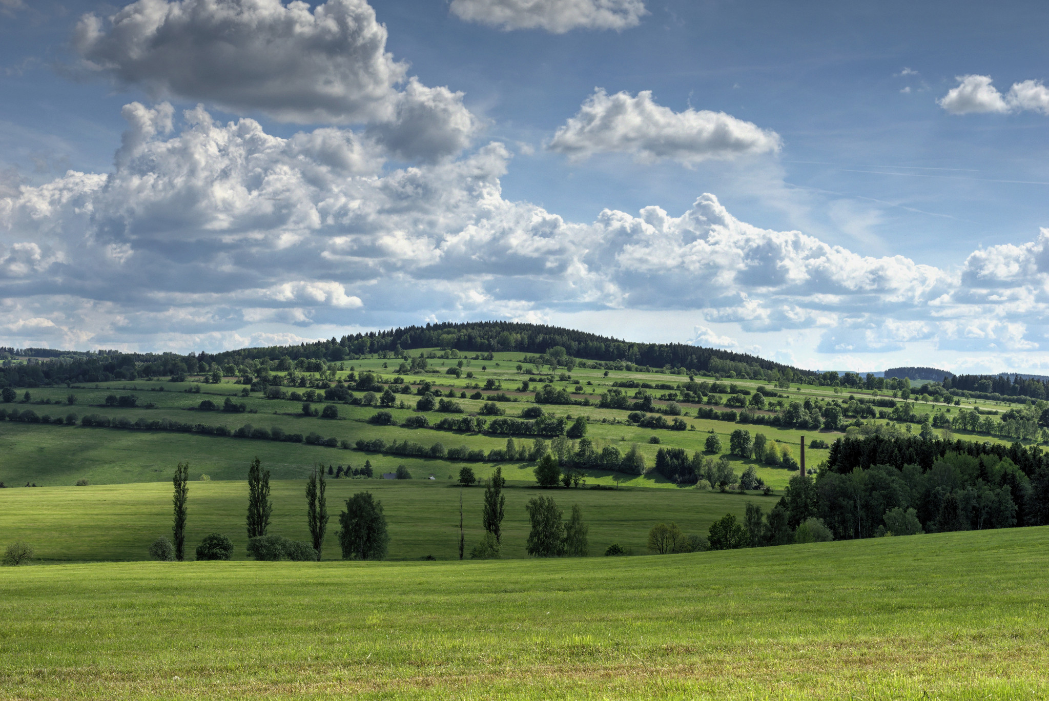Schönfeld - Anfang Juni 2019