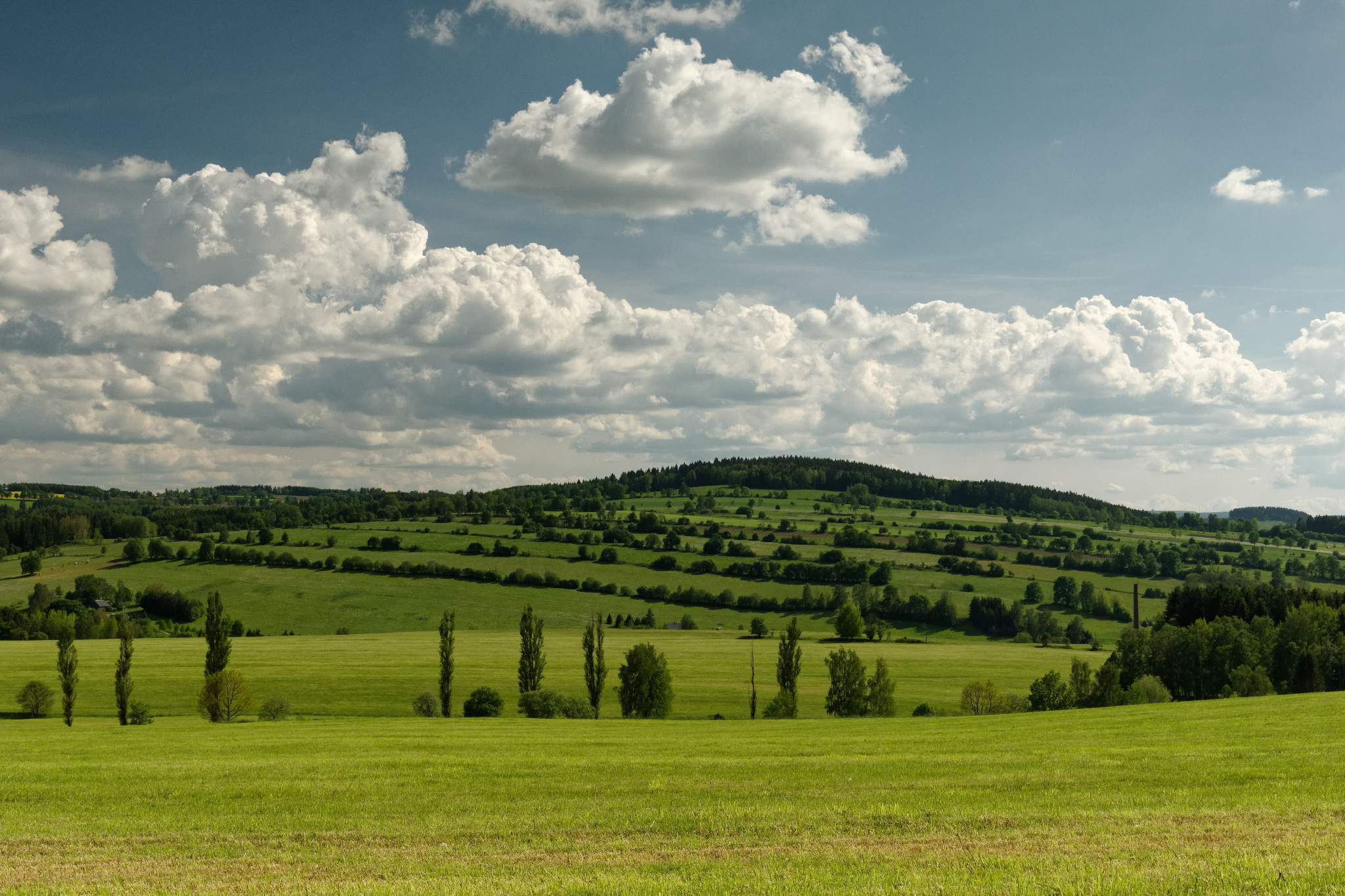 Schönfeld - Anfang Juni 2019