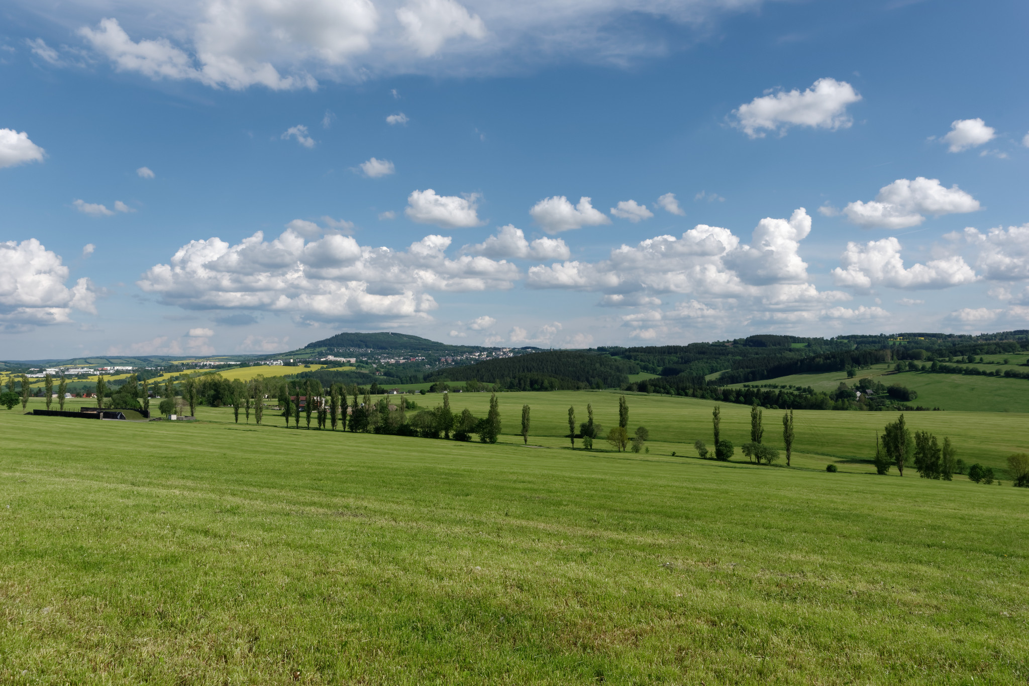 Schönfeld - Anfang Juni 2019