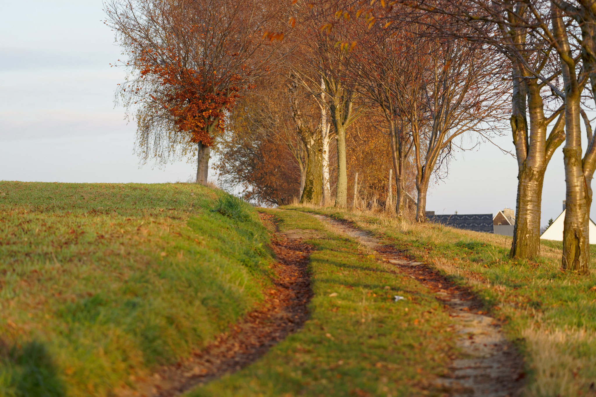 Schönfeld im Erzgebirge