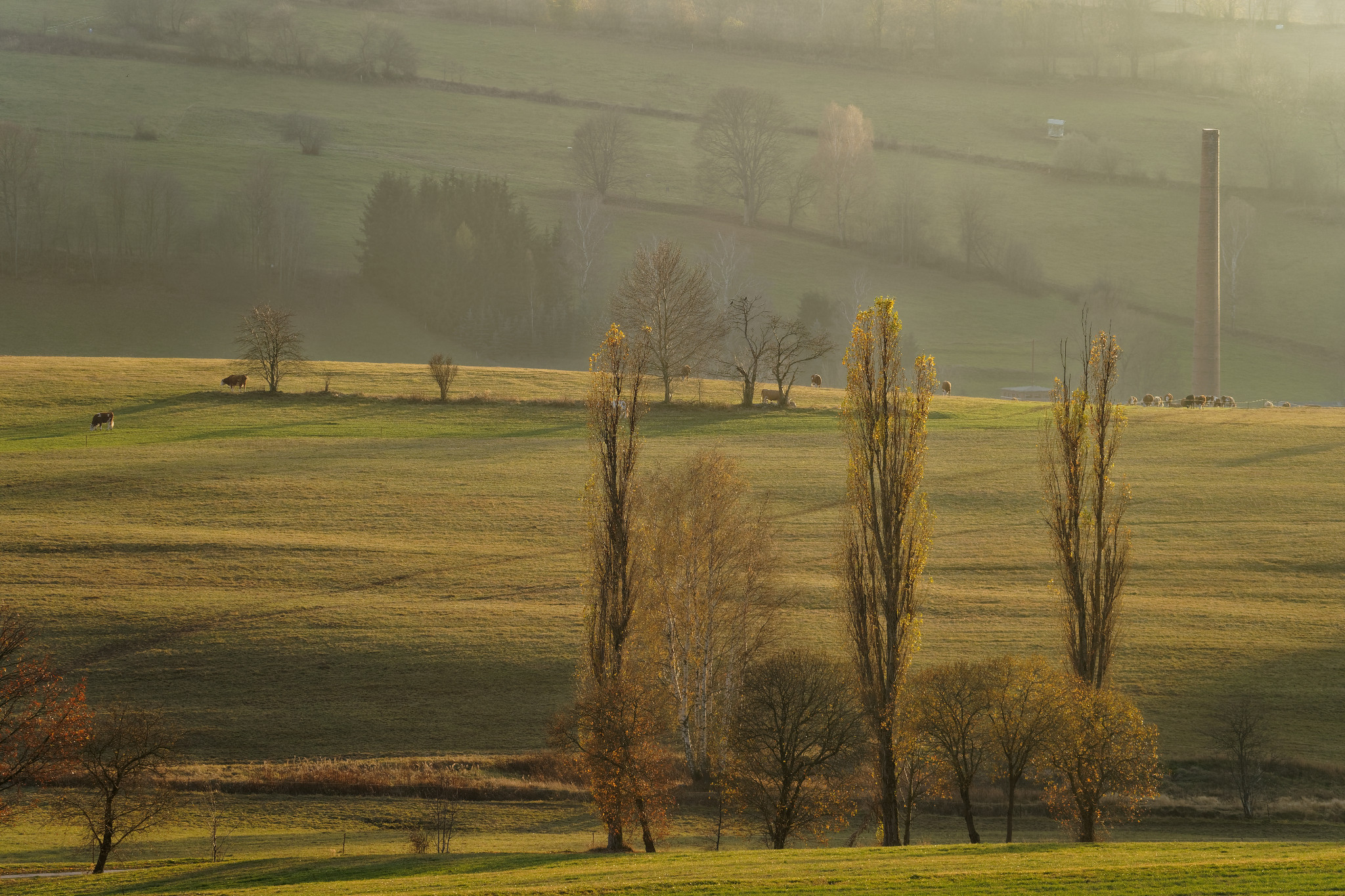Schönfeld im Erzgebirge