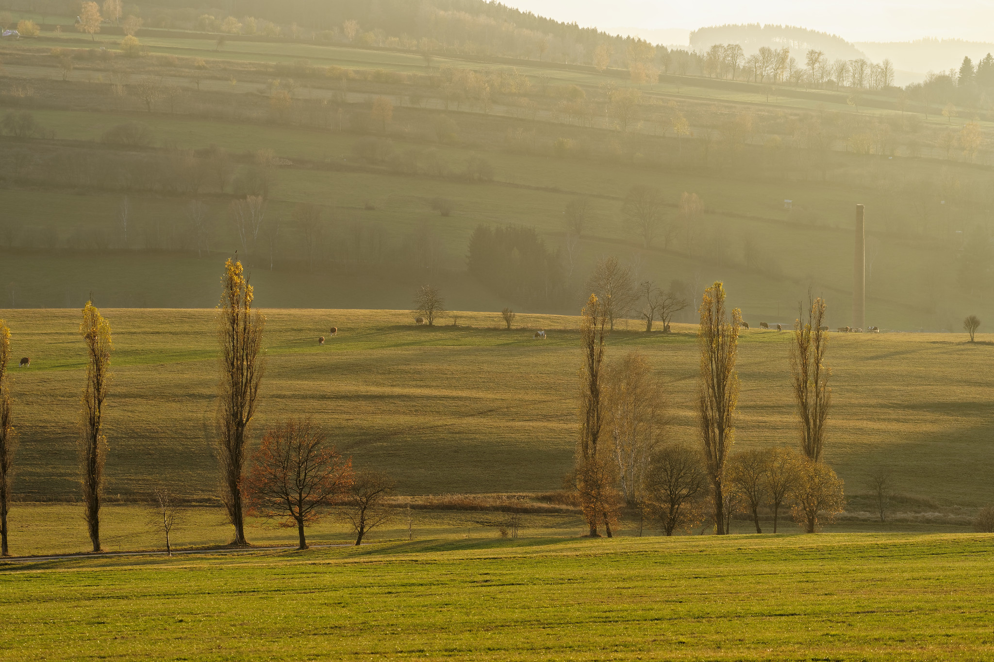 Schönfeld im Erzgebirge