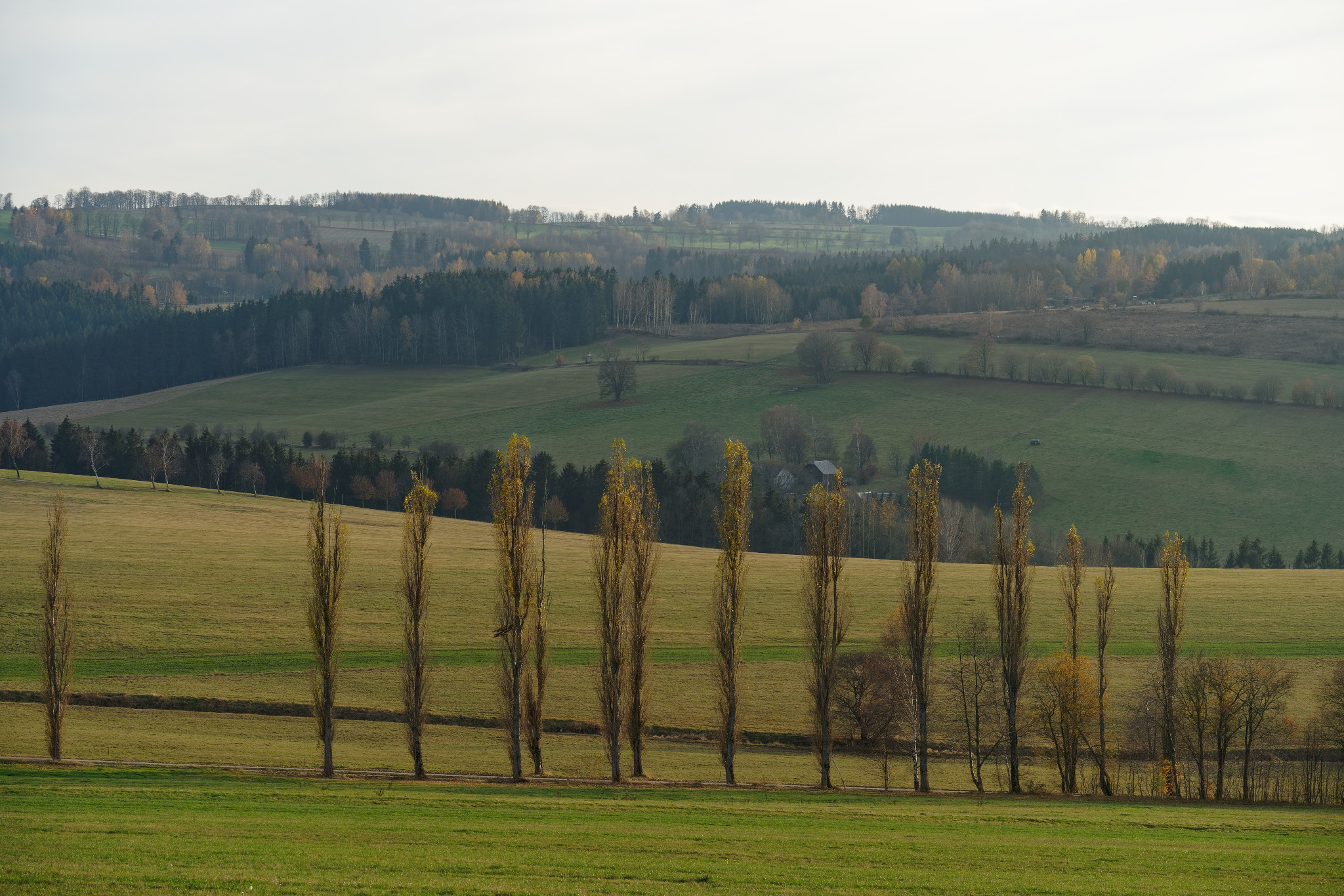 Schönfeld im Erzgebirge
