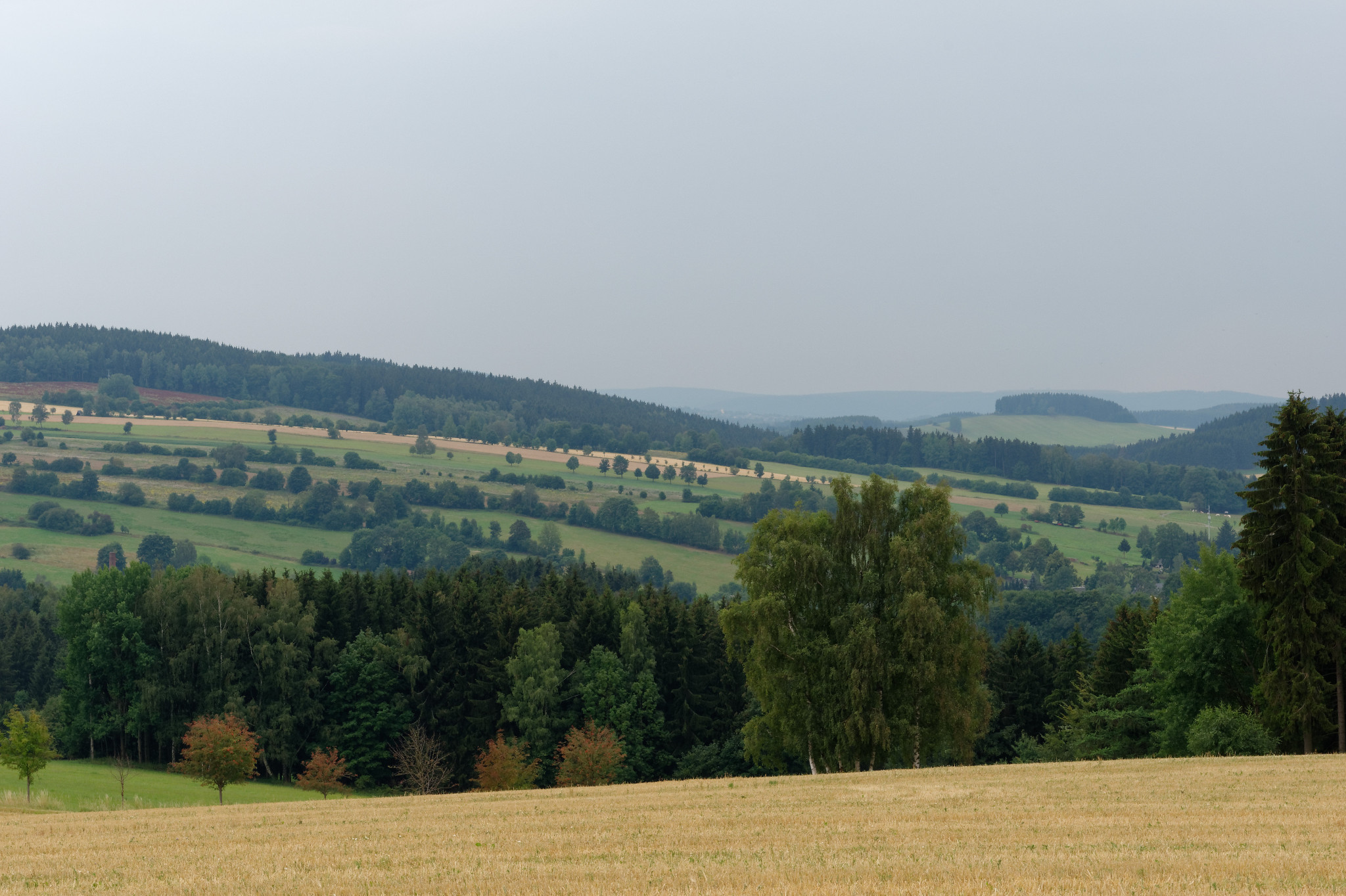 Schönfeld - Ende Juli 2018