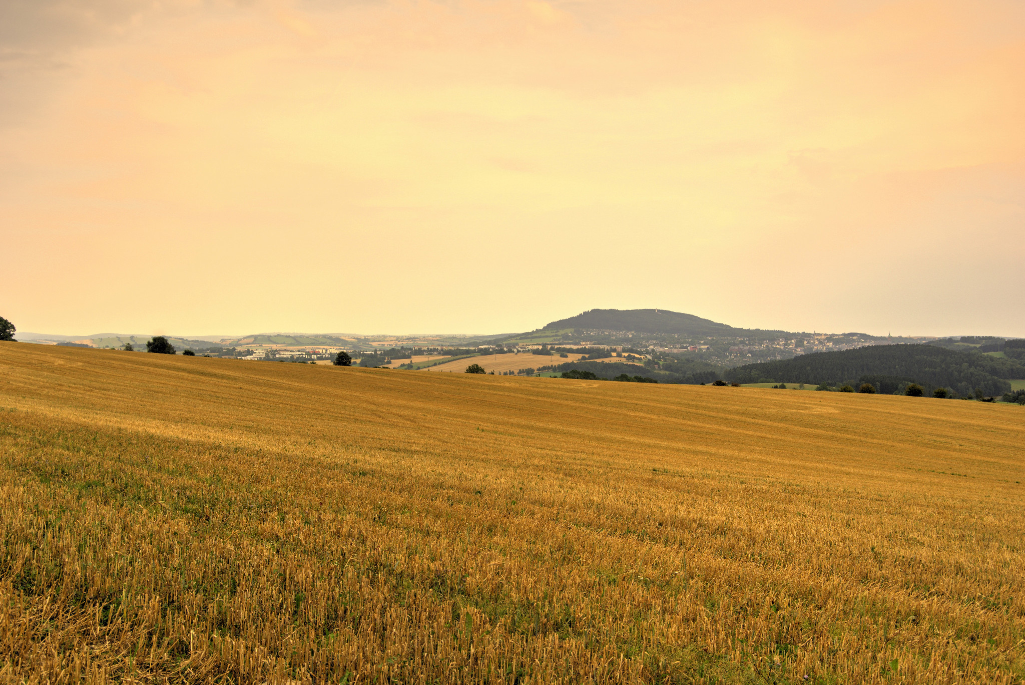 Schönfeld - Ende Juli 2018